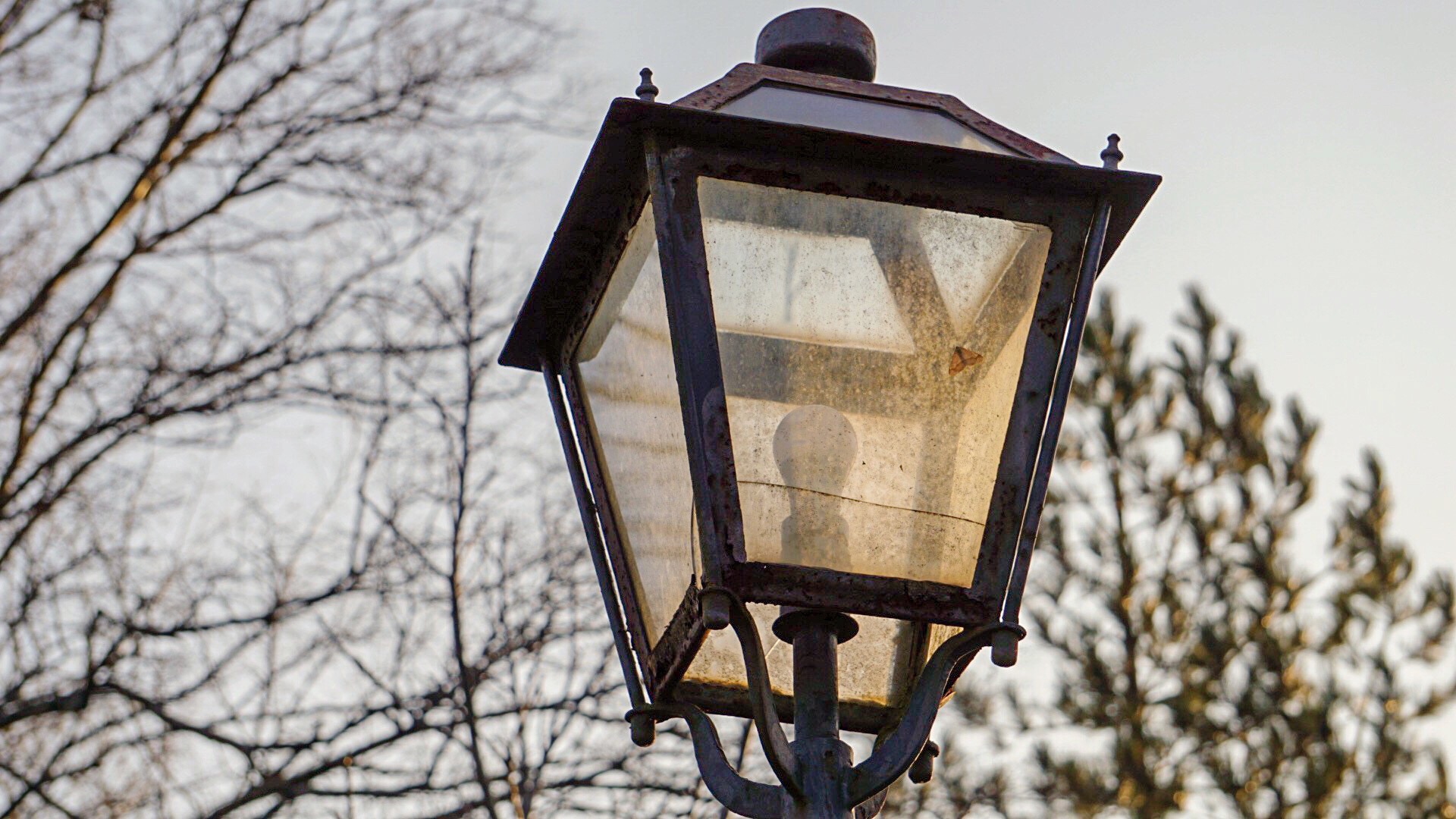 Lamp of Montesenario