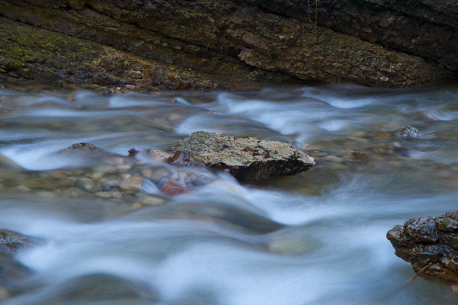 Flusso del Margorabbia