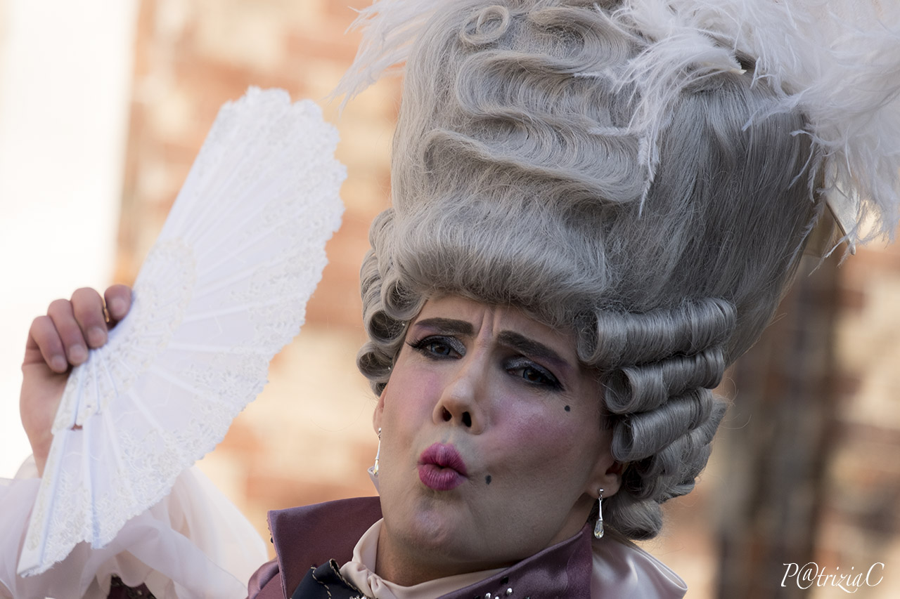__Carnevale Venezia__(3)