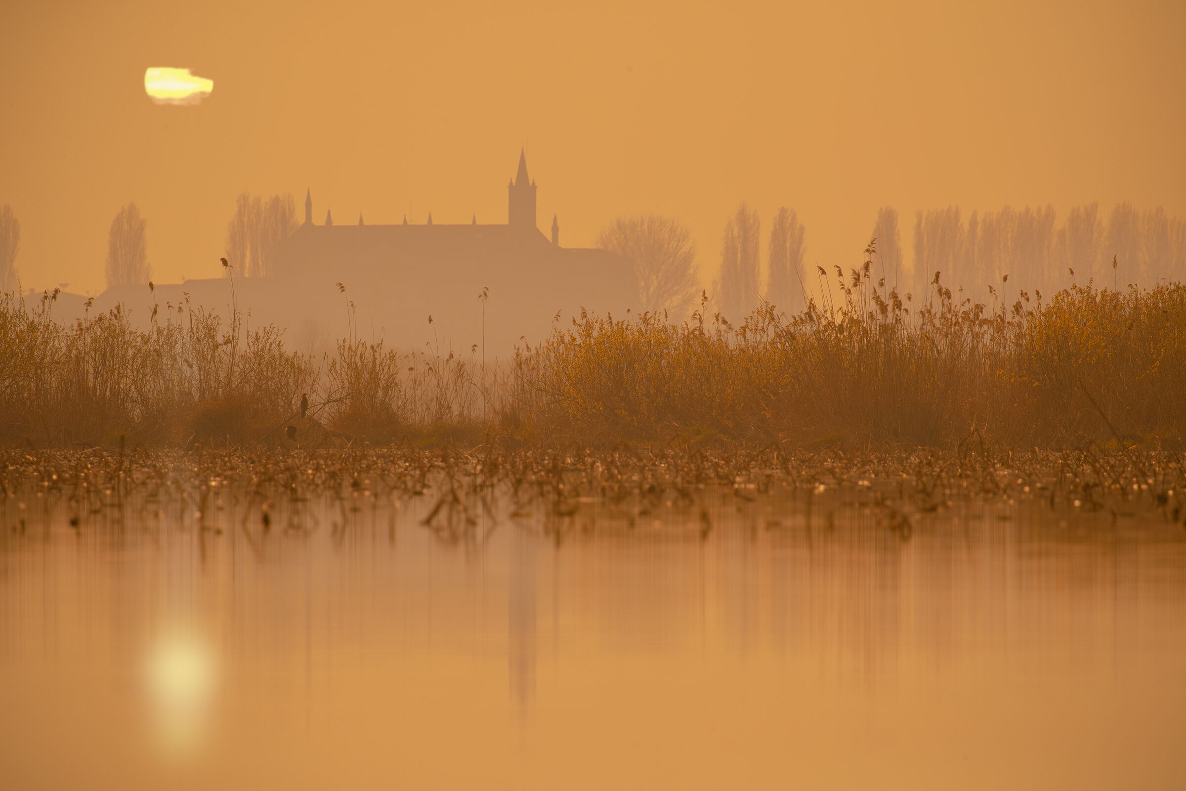 Lago Superiore di Mantova