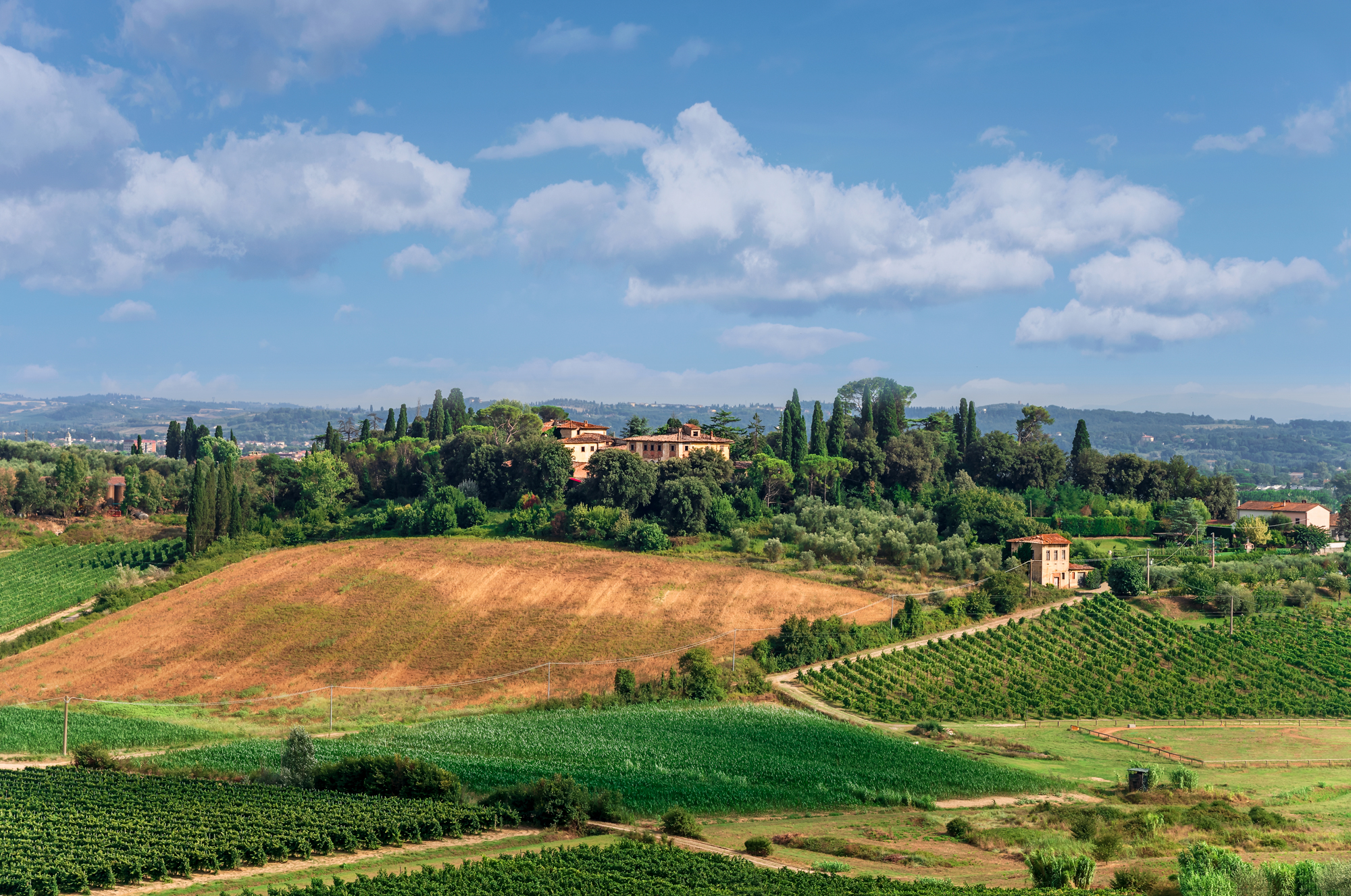 Nei dintorni di Vinci...