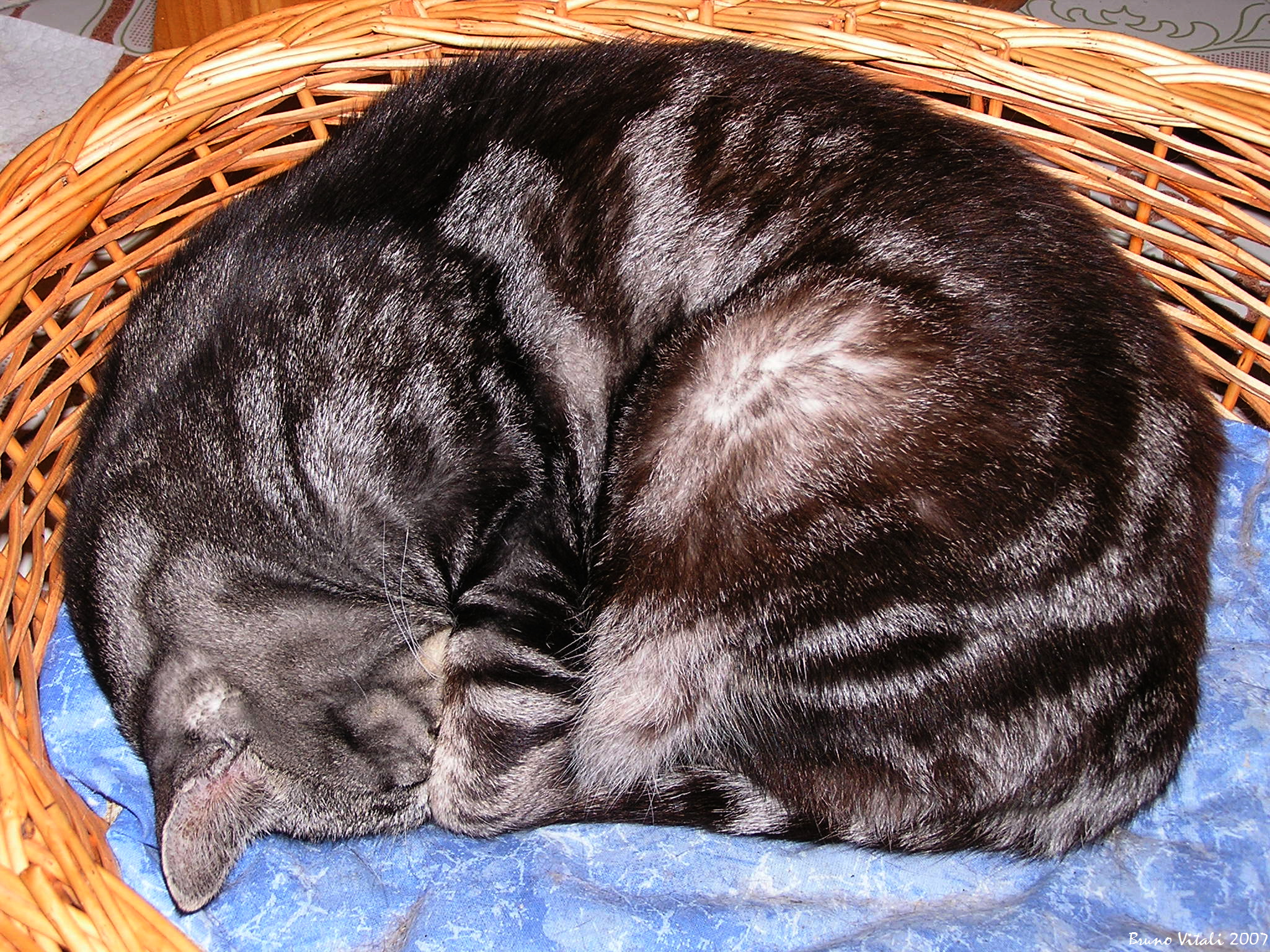 Quando dorme...dorme!