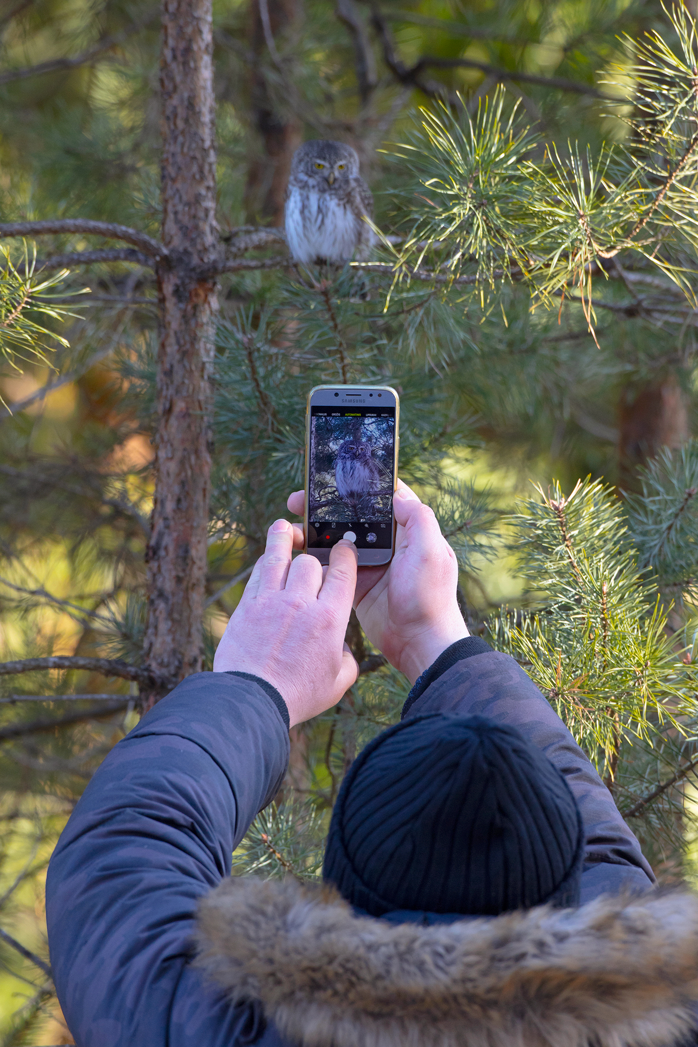 La gioia della fotografia mobile