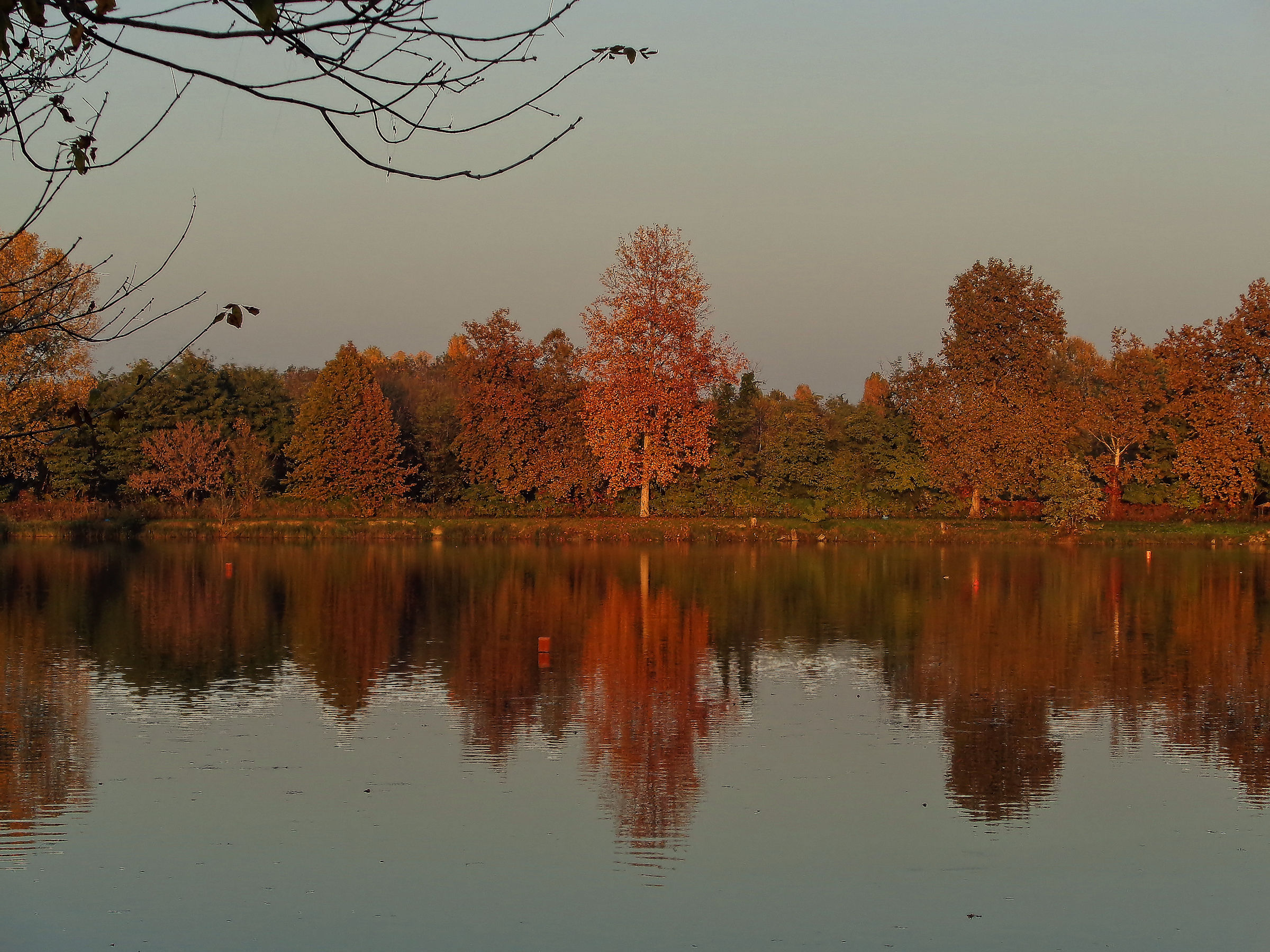 Laghetto di San Giuliano Milanese