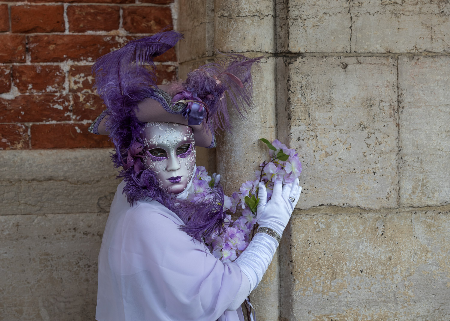 Venezia Maschera di carnevale