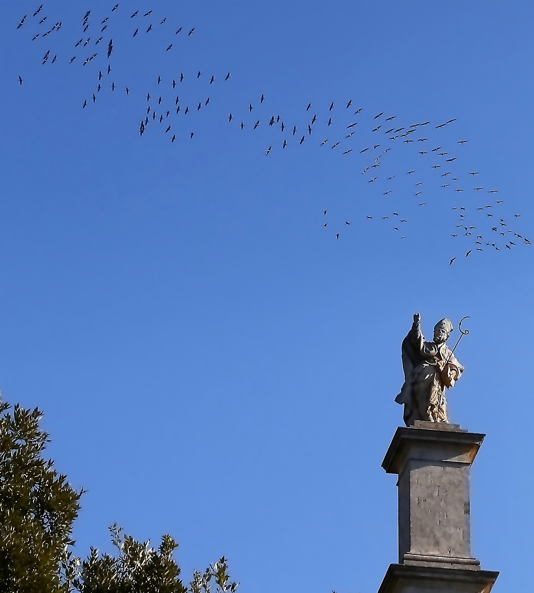 The migration of Cranes