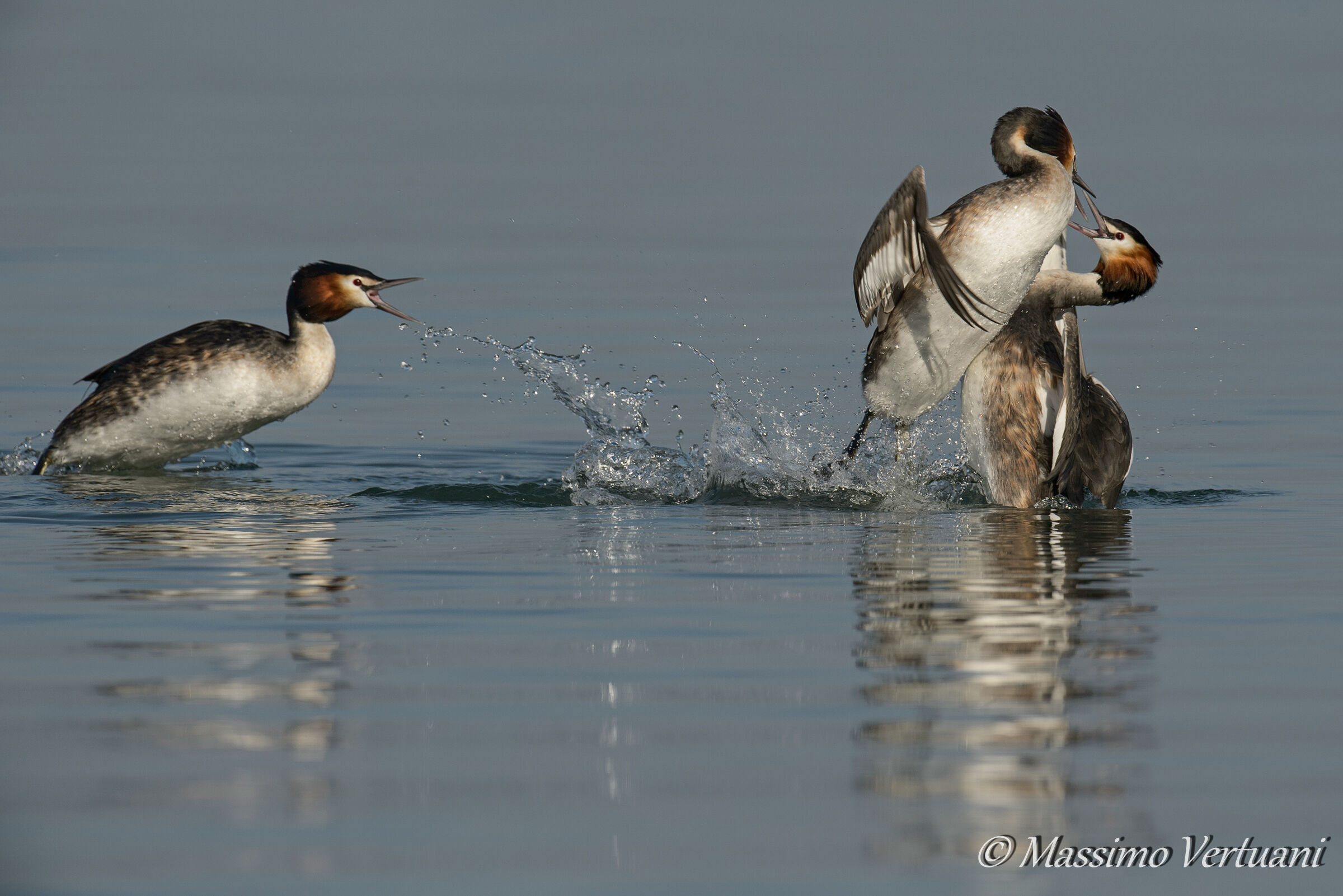 Si riaprono i giochi.....