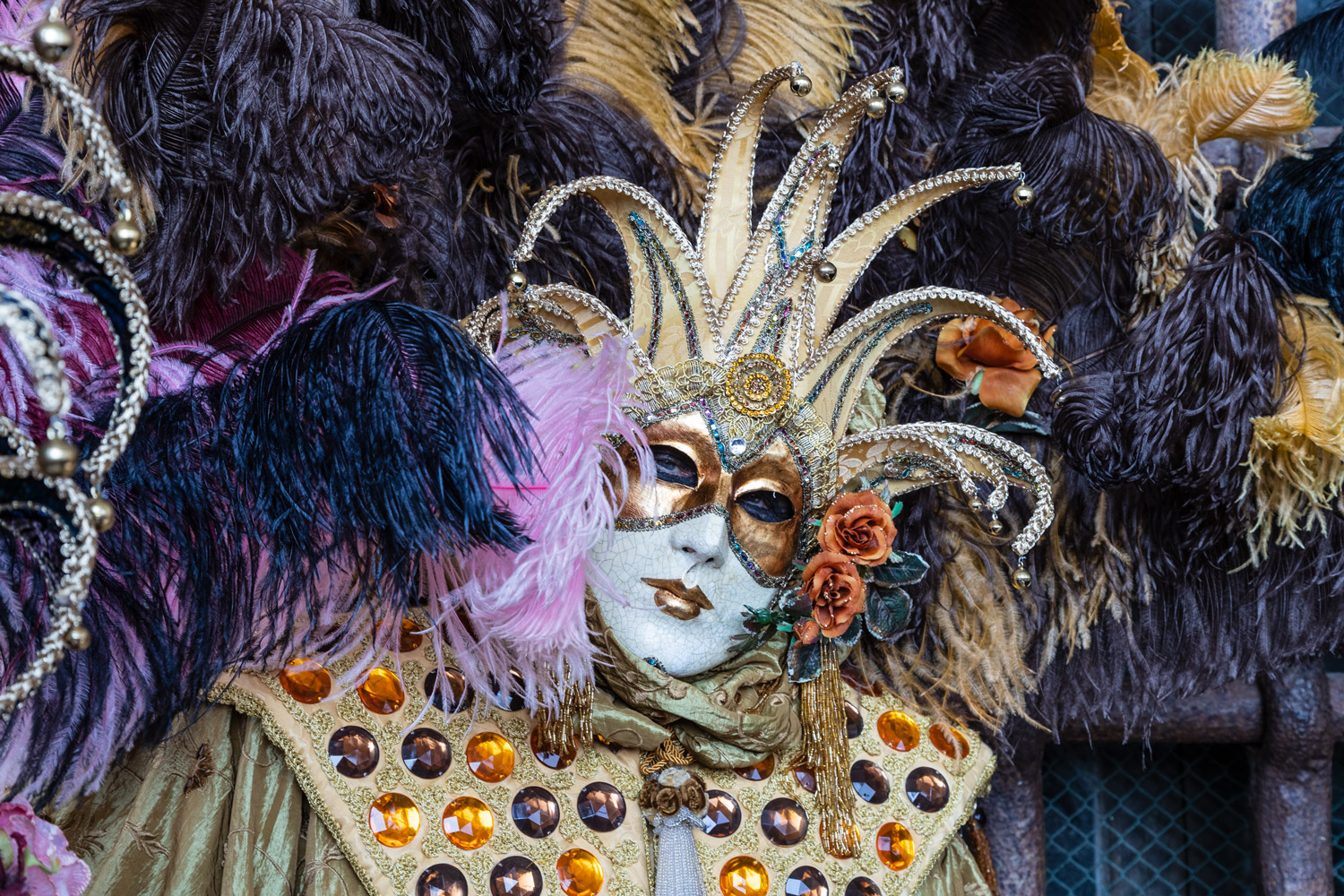 Venezia Maschera di carnevale