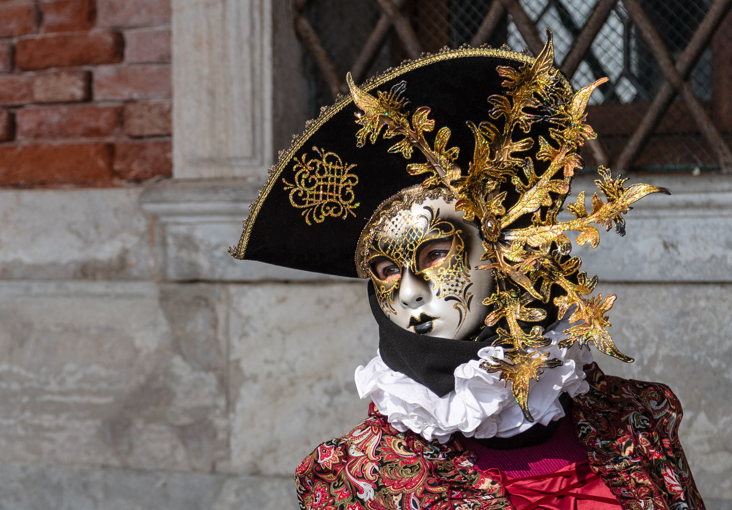 Venezia maschera di carnevale
