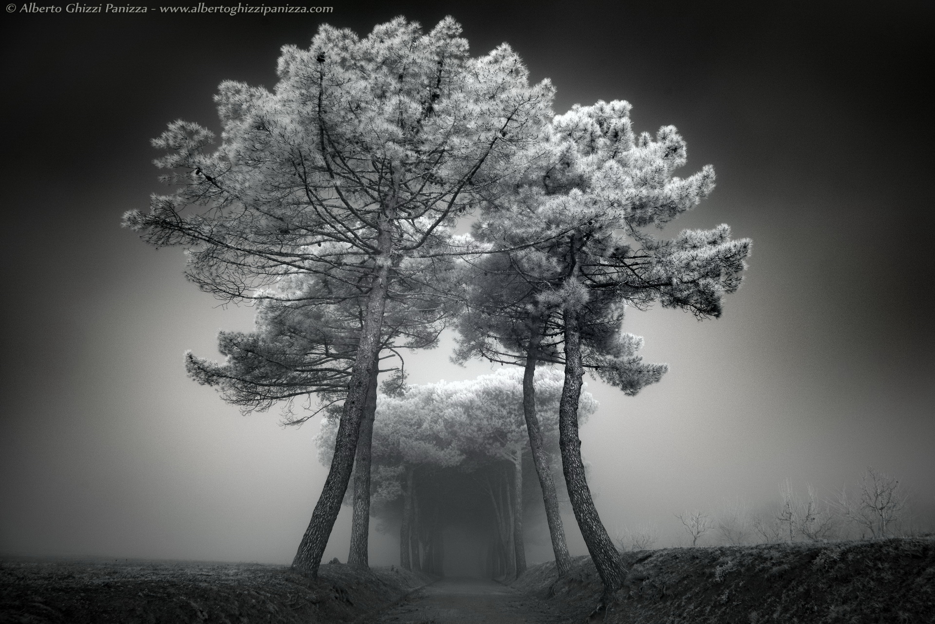 Amid the mists of the Arbia Valley