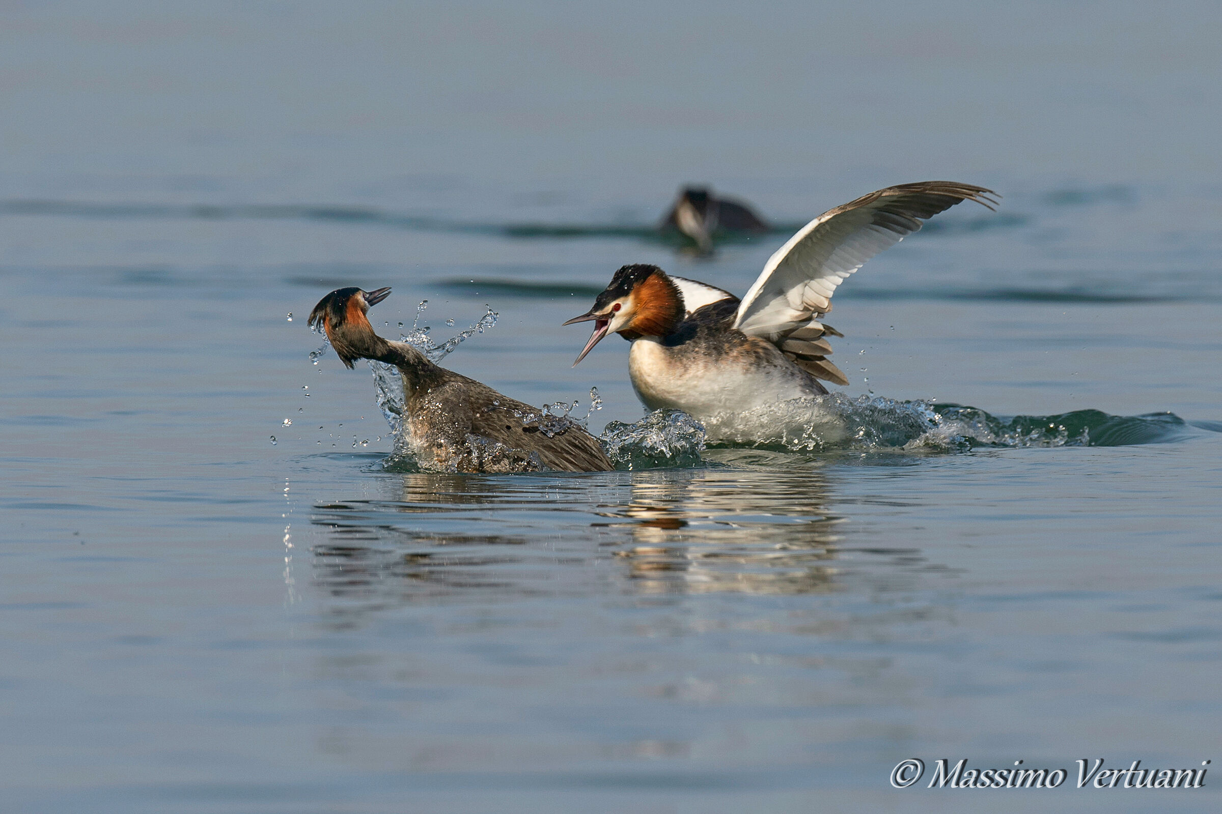 Qui...comando io.....