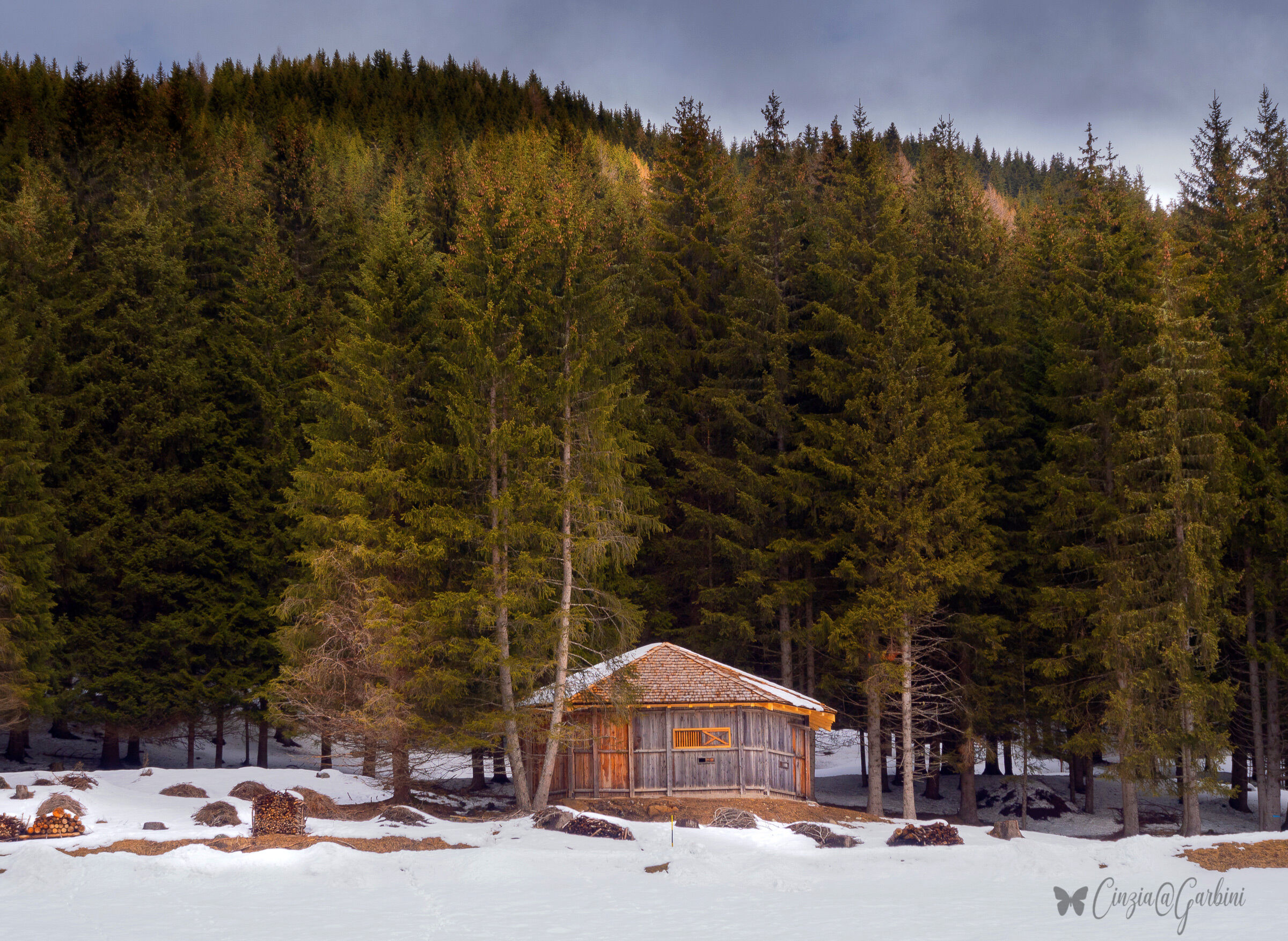 The cottage in the woods