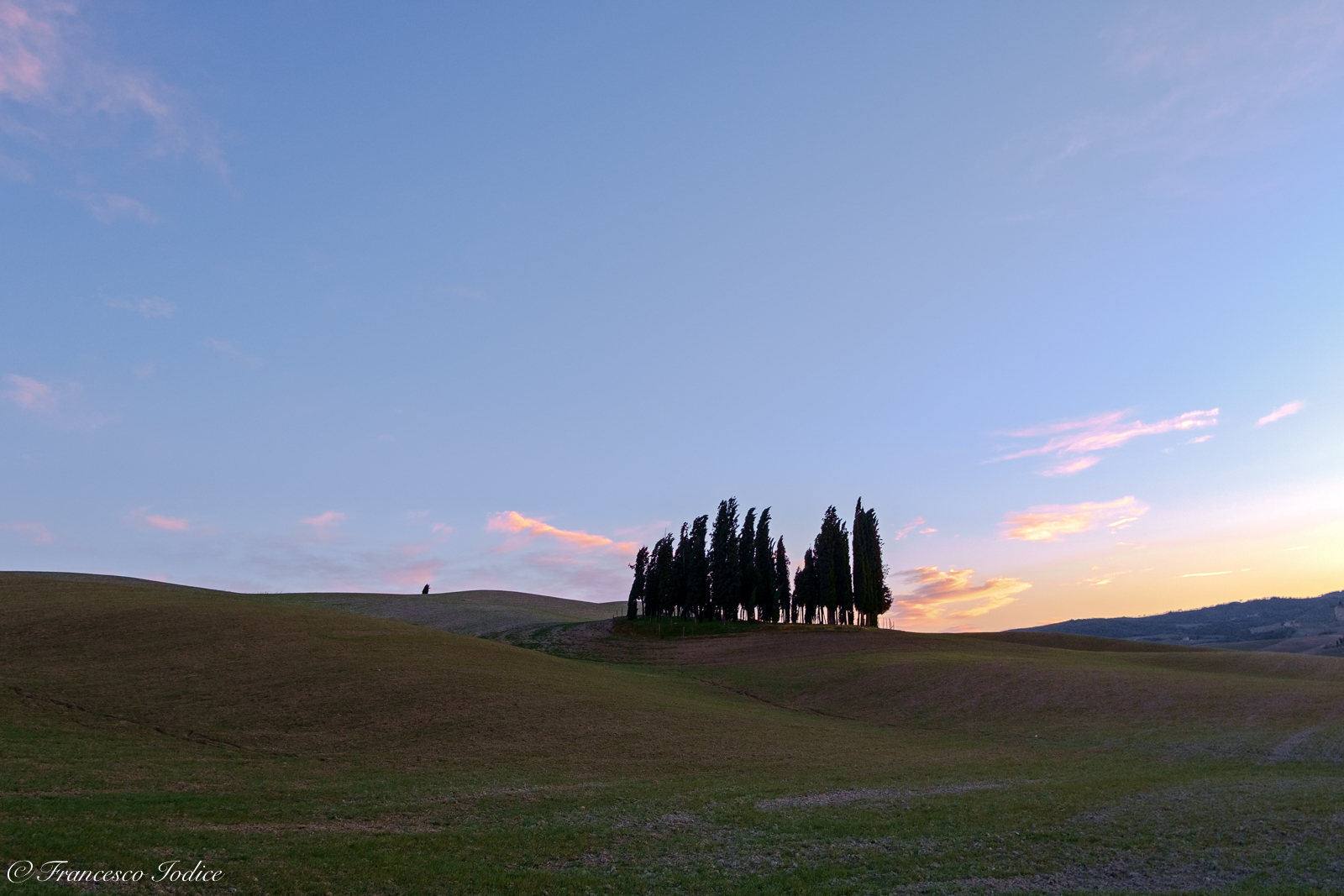 Cipressi di san Quirico d'Orcia