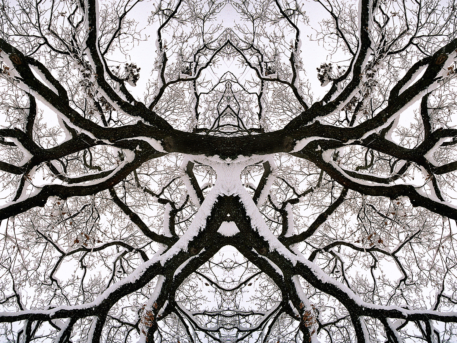 Branched Fantasies - Sauron