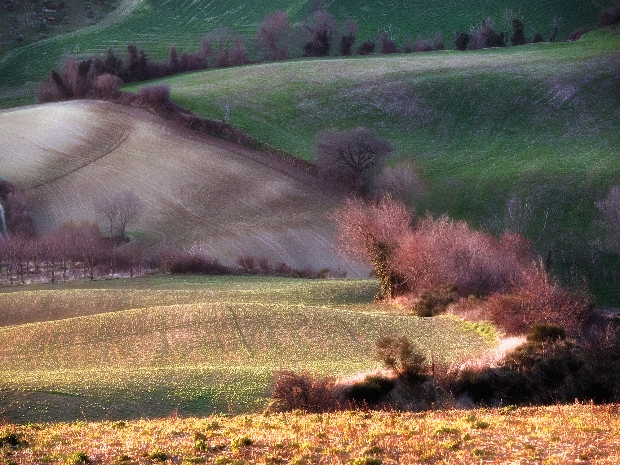 A glimpse of the countryside
