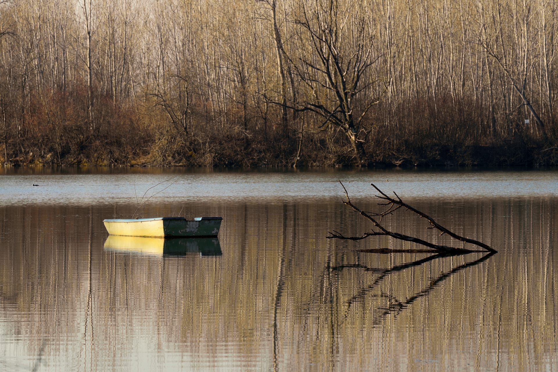 Boat propulsion and autonomous driving.