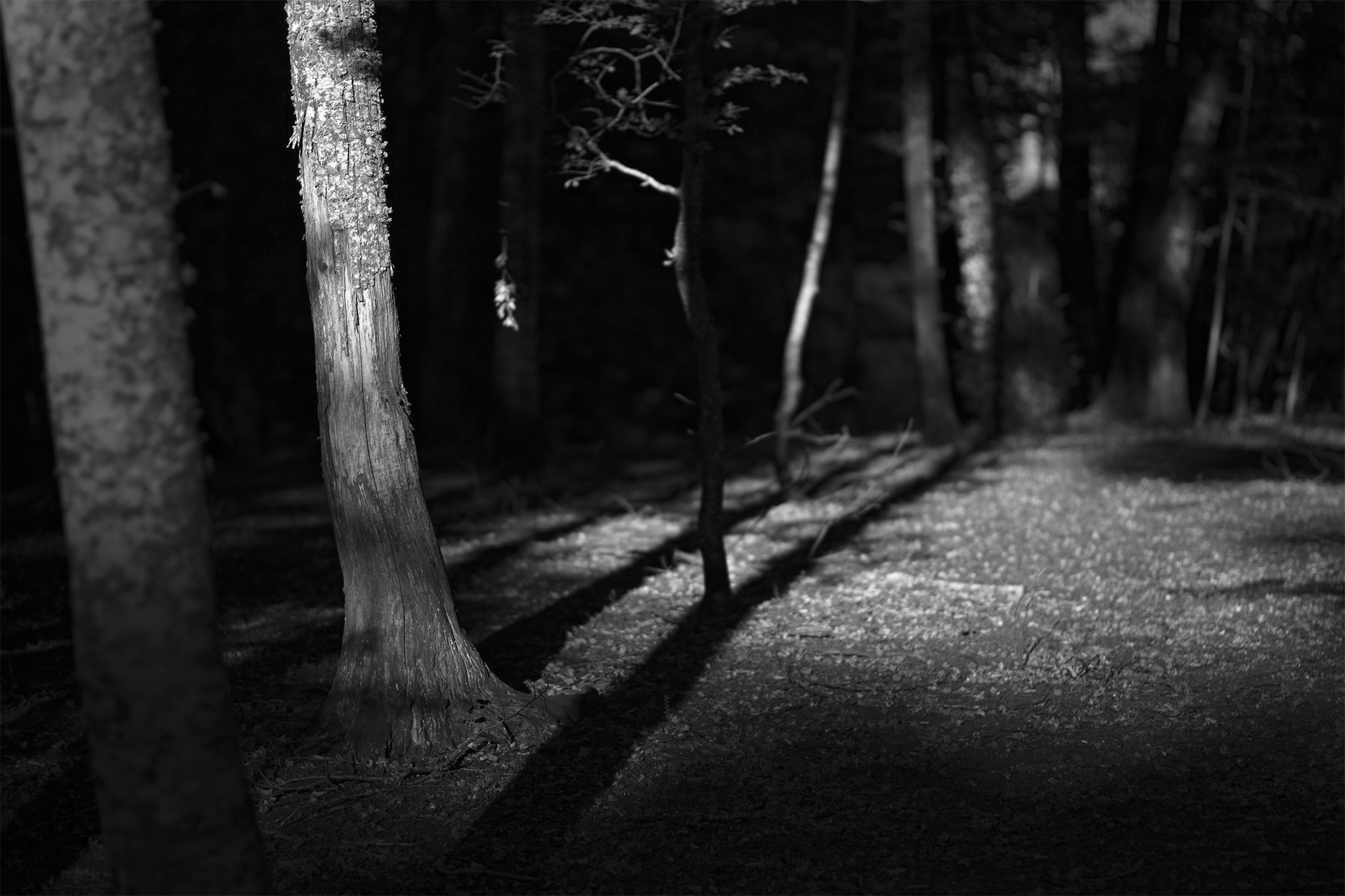 Invisible appearances