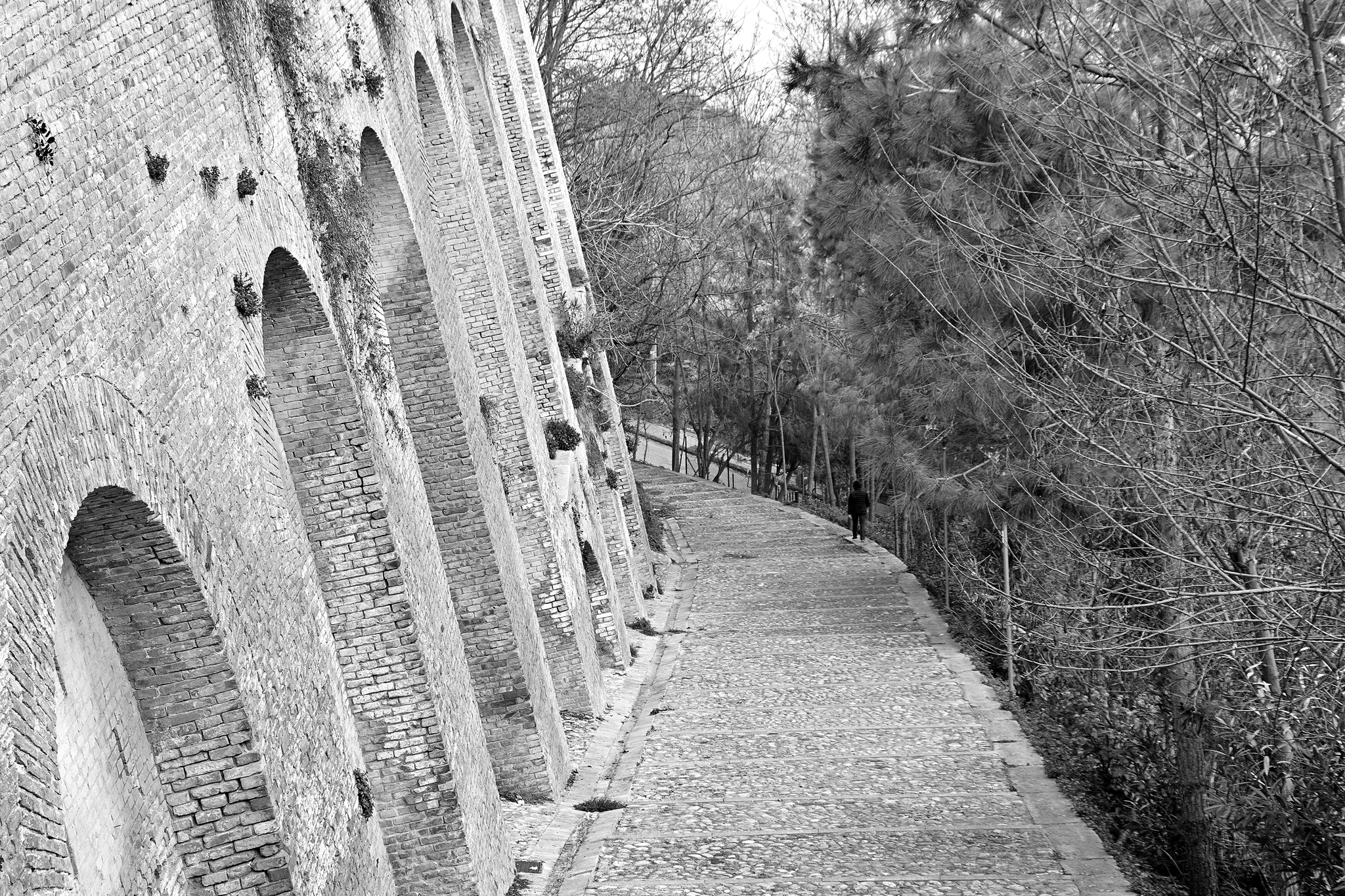 The wide way and the narrow way