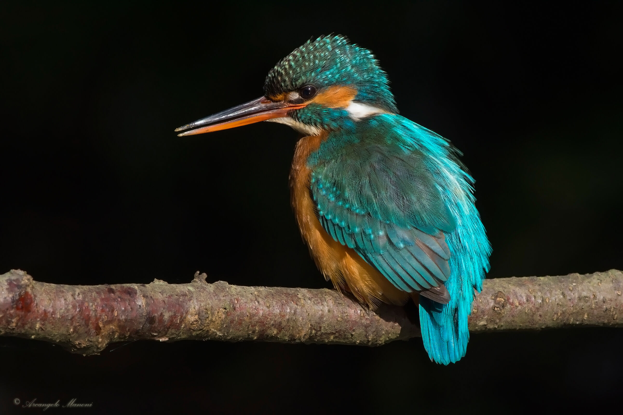 Cutting light for the Martina