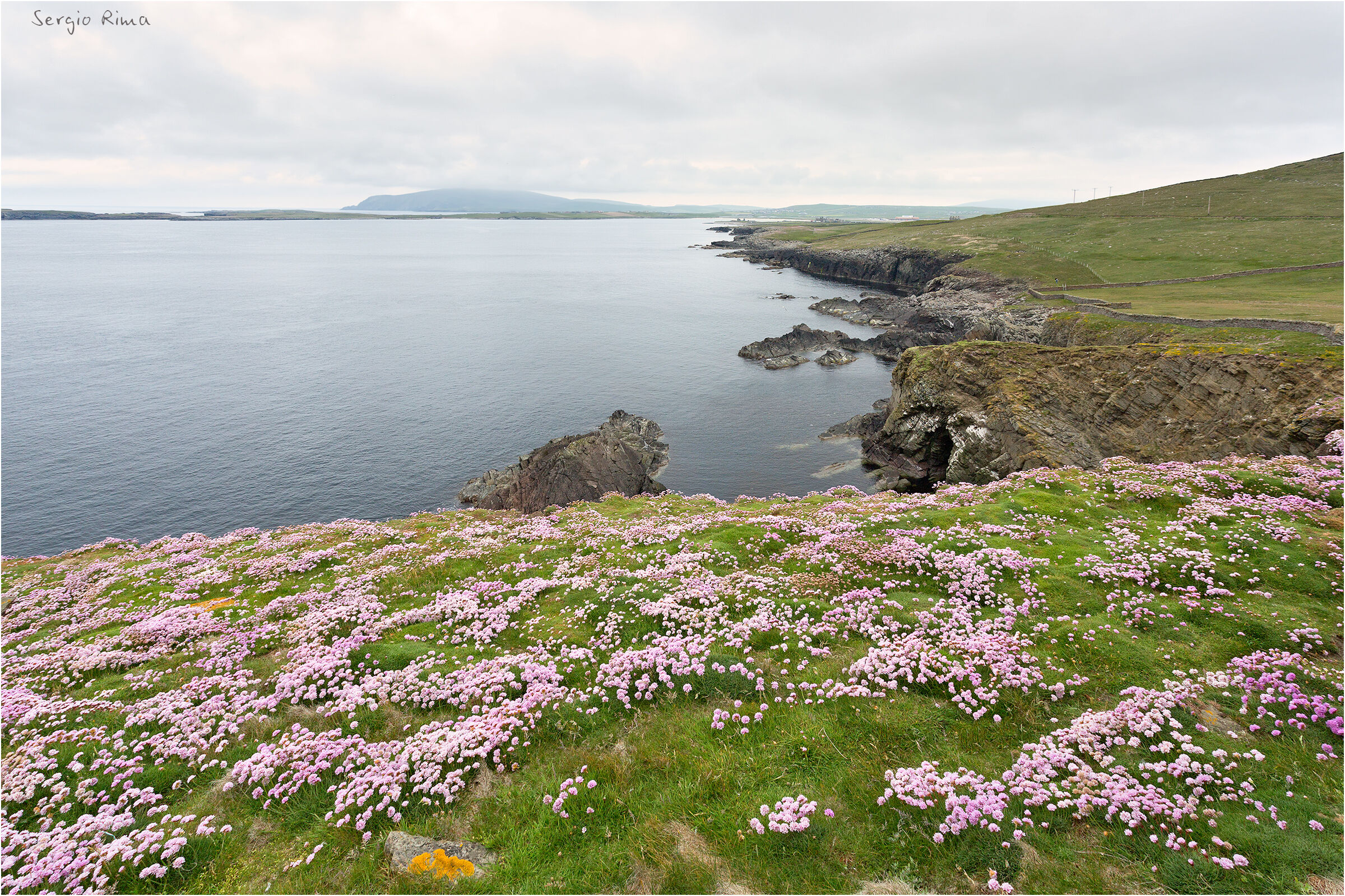 The cliff north of Sumburgh