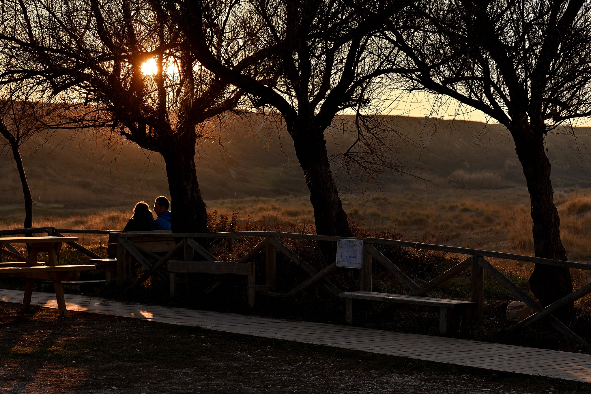 In the quiet of the evening