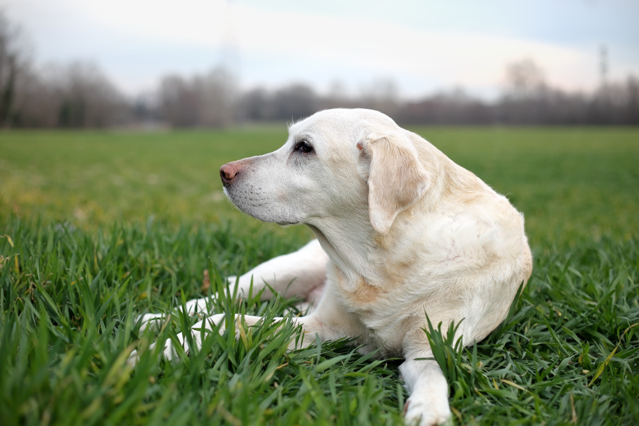 15 years and not hear them, almost.