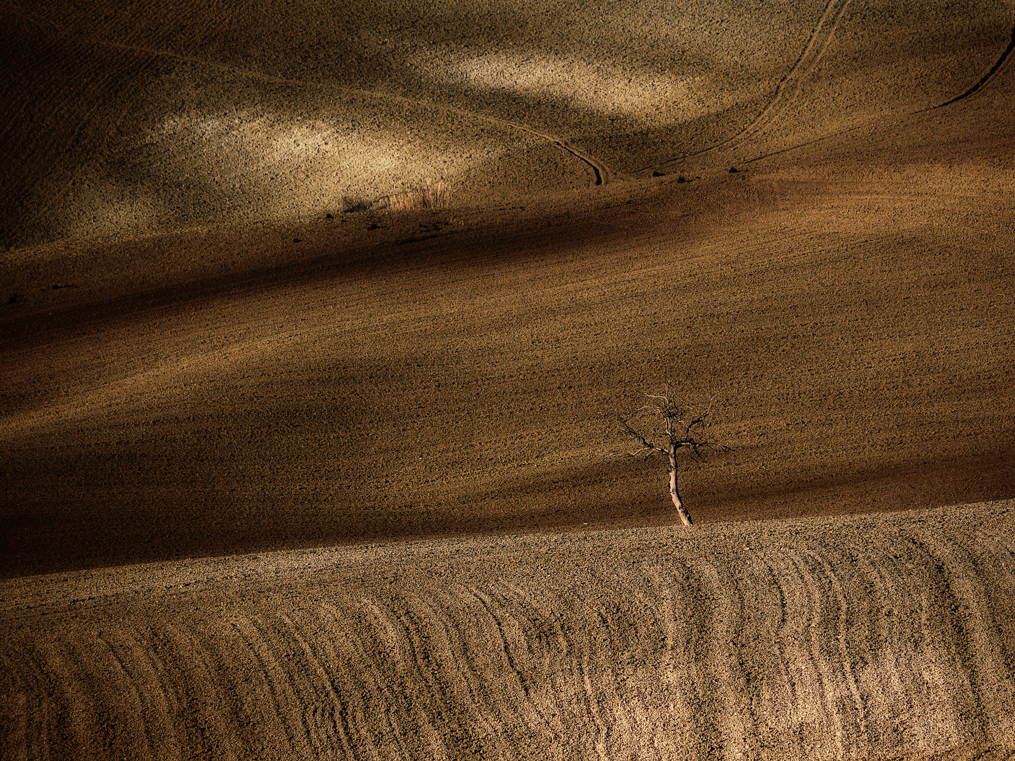 A glimpse of the countryside