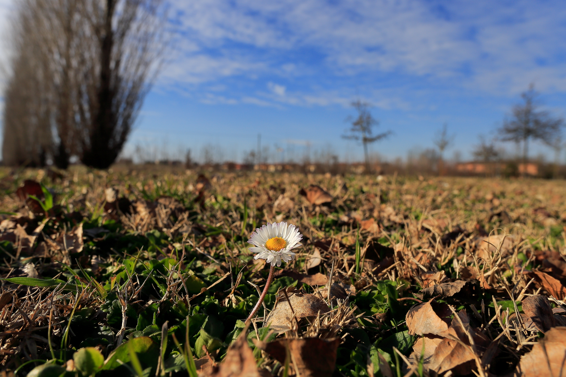 The first Margaret of March