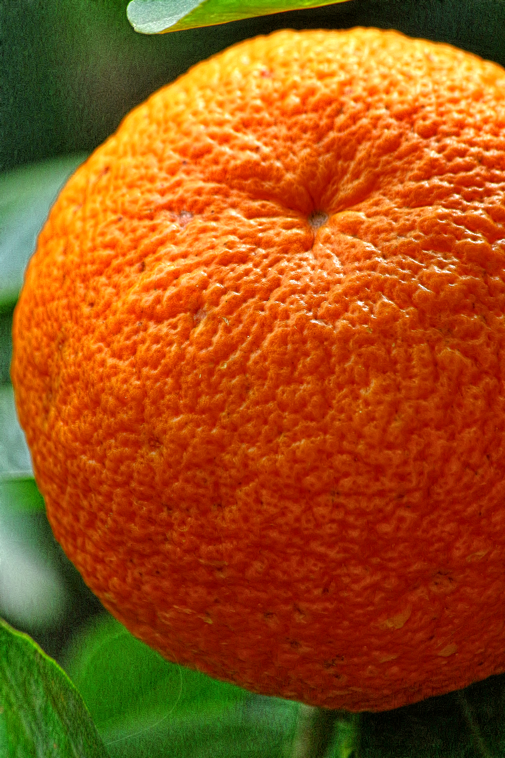 Sculptures Of The Nature