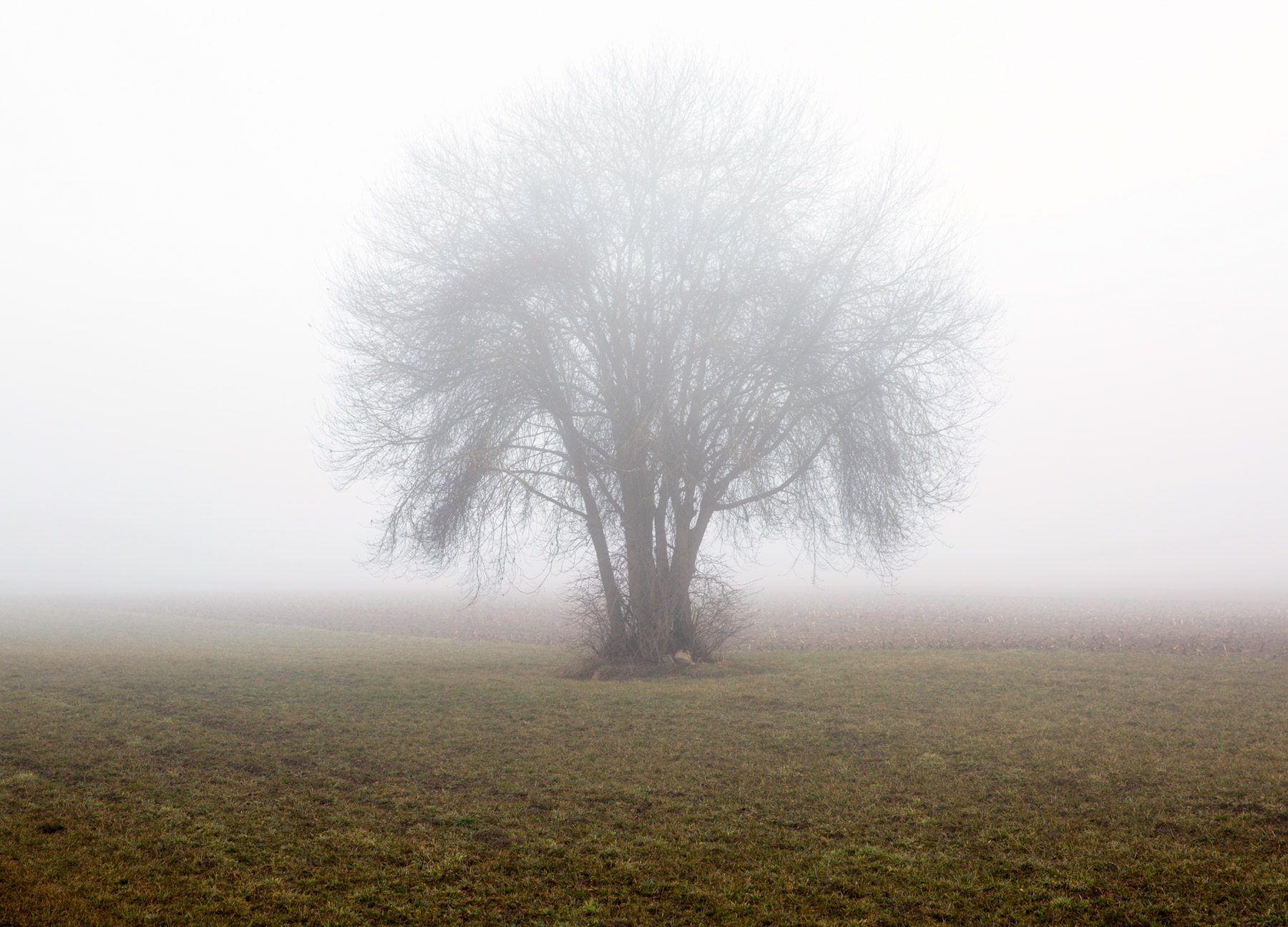 Prime luci del mattino