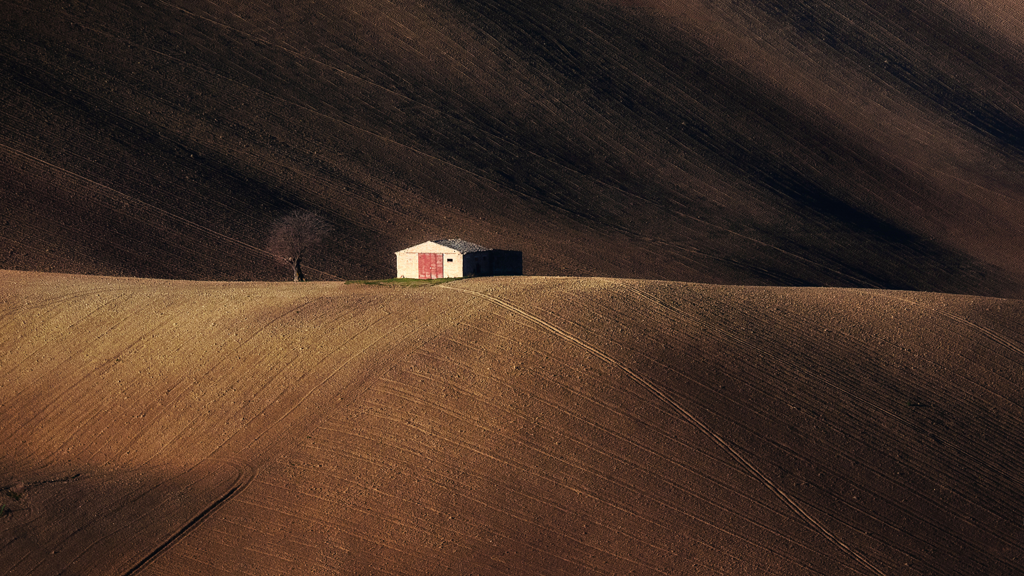 Il gelso e la capanna