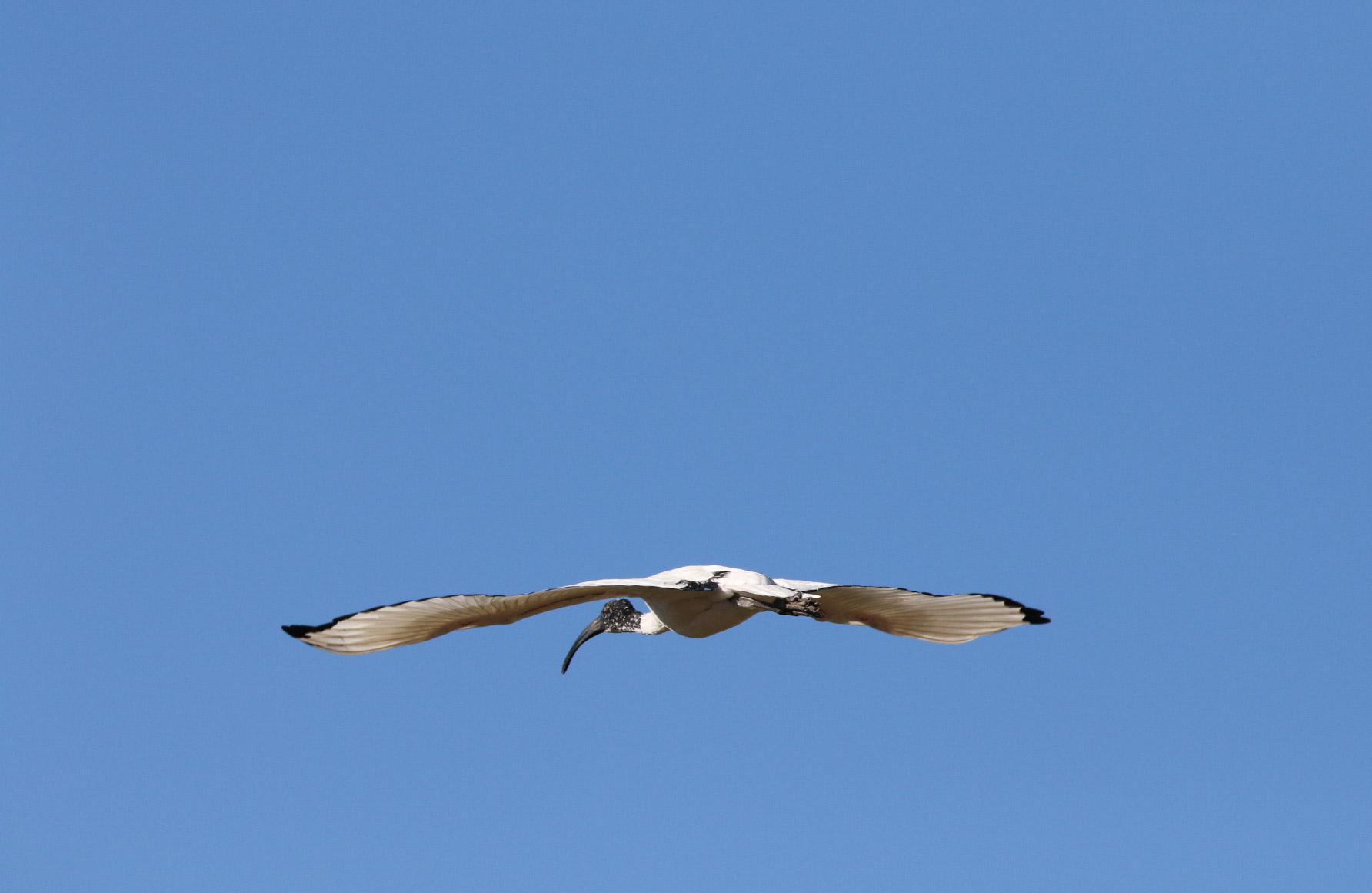 I don't need the Navigator