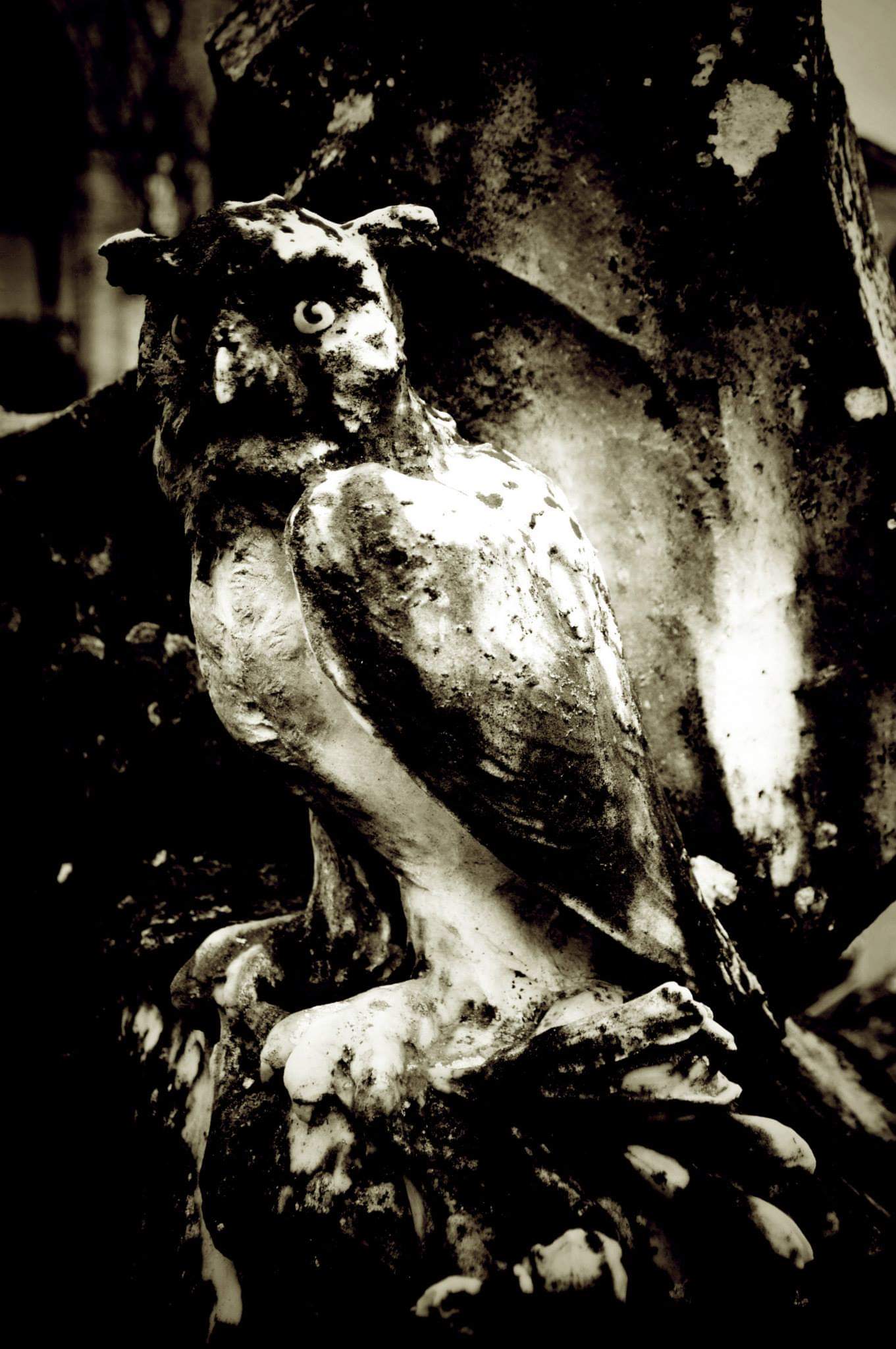 The Guardian of the cemetery