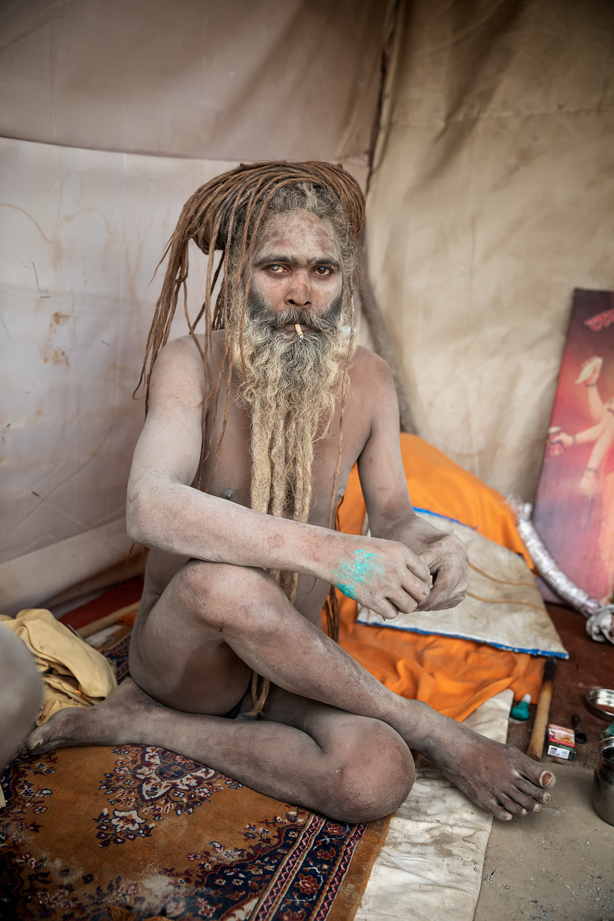 Sadhu ad Allahabad