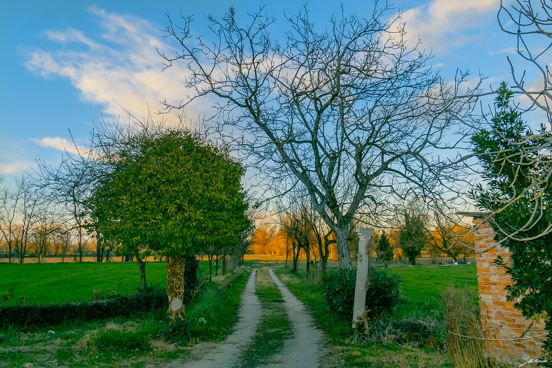 Il vialetto di campagna
