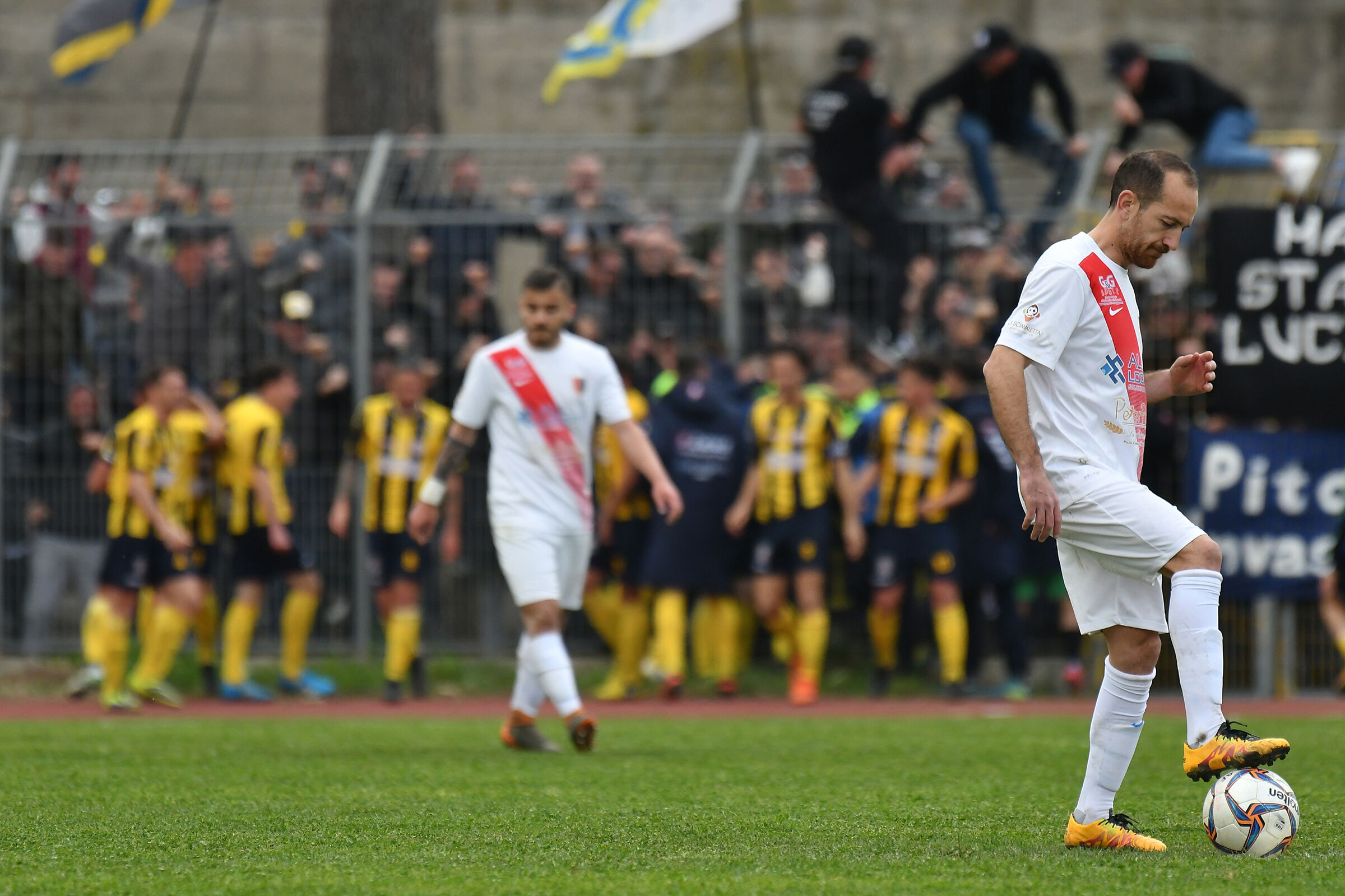 Nikon 200-500 F. 5.6 Out of D500 (Sport)