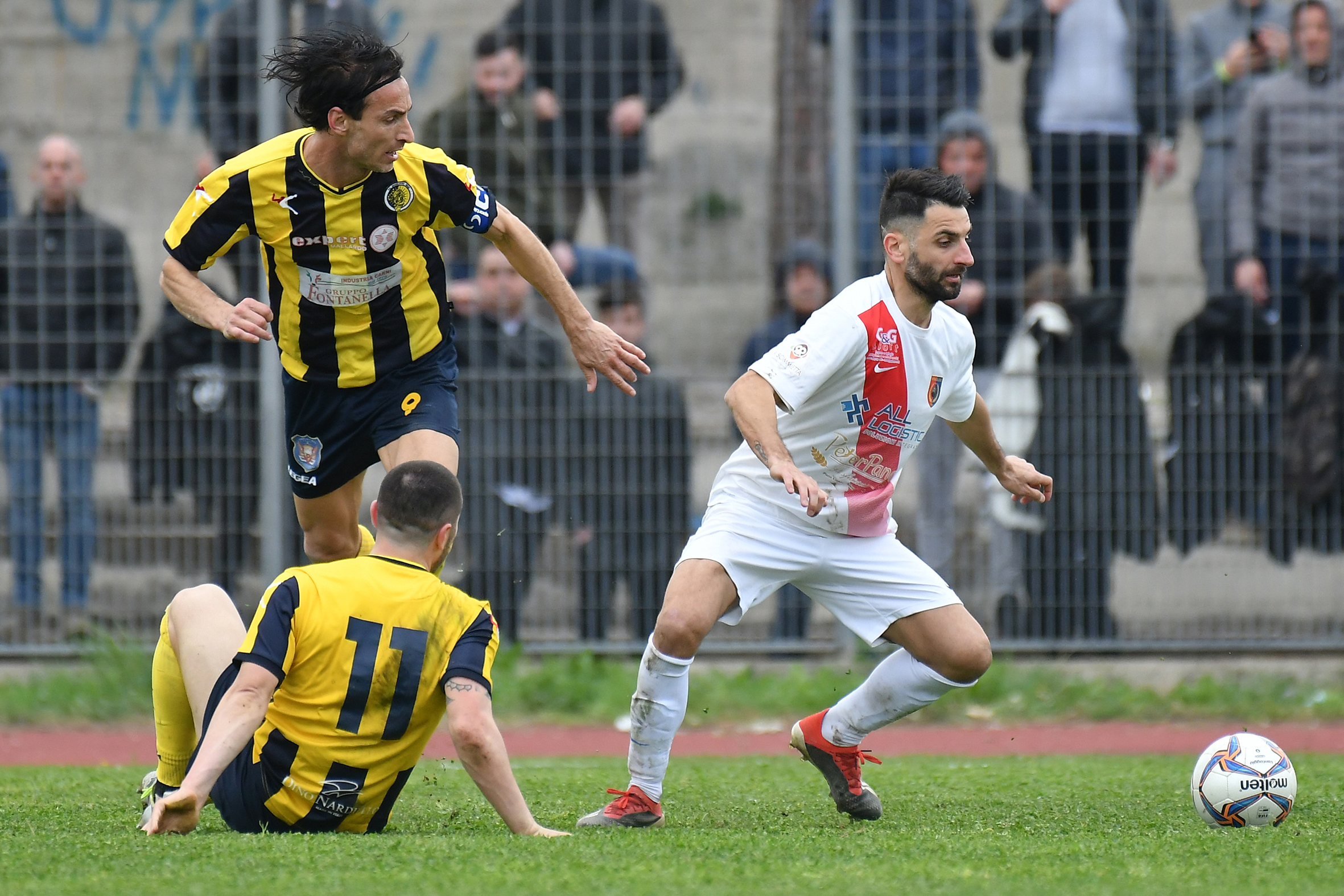 Nikon 200-500 F. 5.6 Out of D500 (Sport)