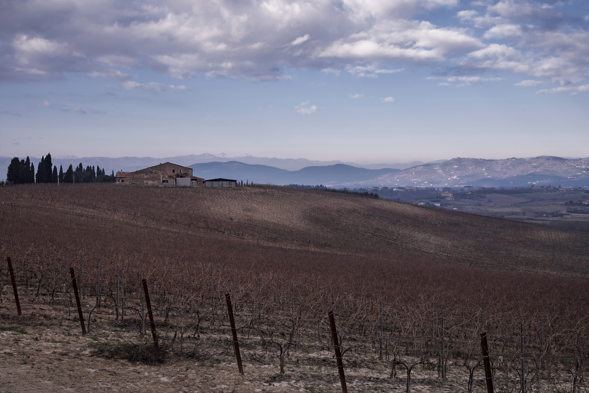 Un morbido contrasto...