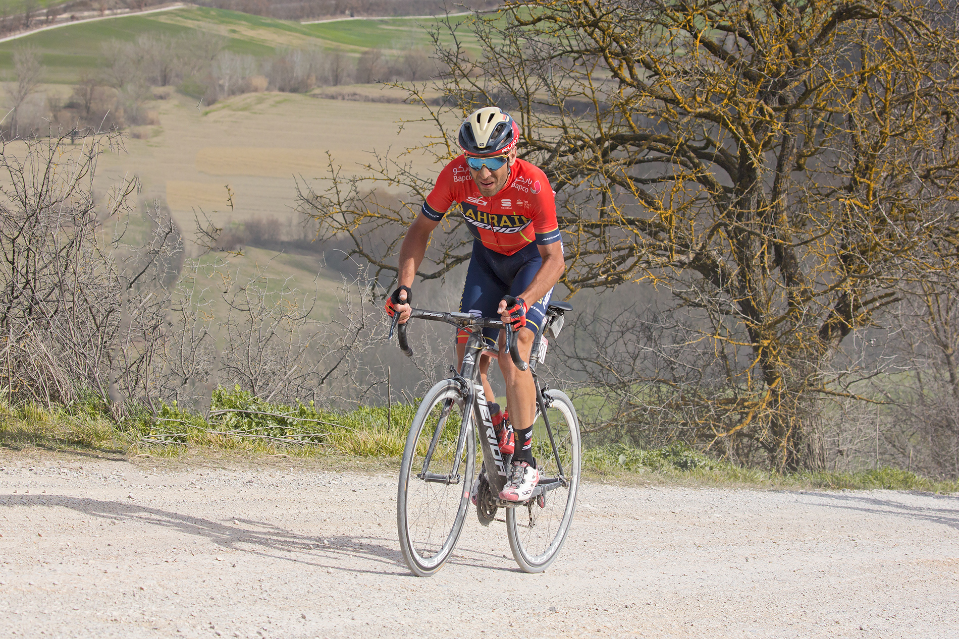 Vincenzo Nibali-Strade bianche 2019