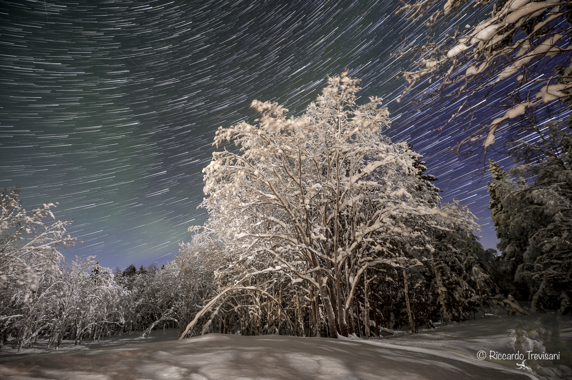 magic night in Lapland