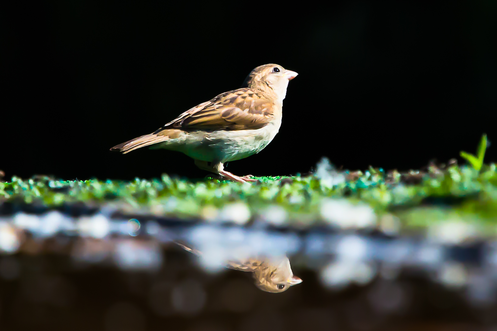 Ci penso ancora un po'..