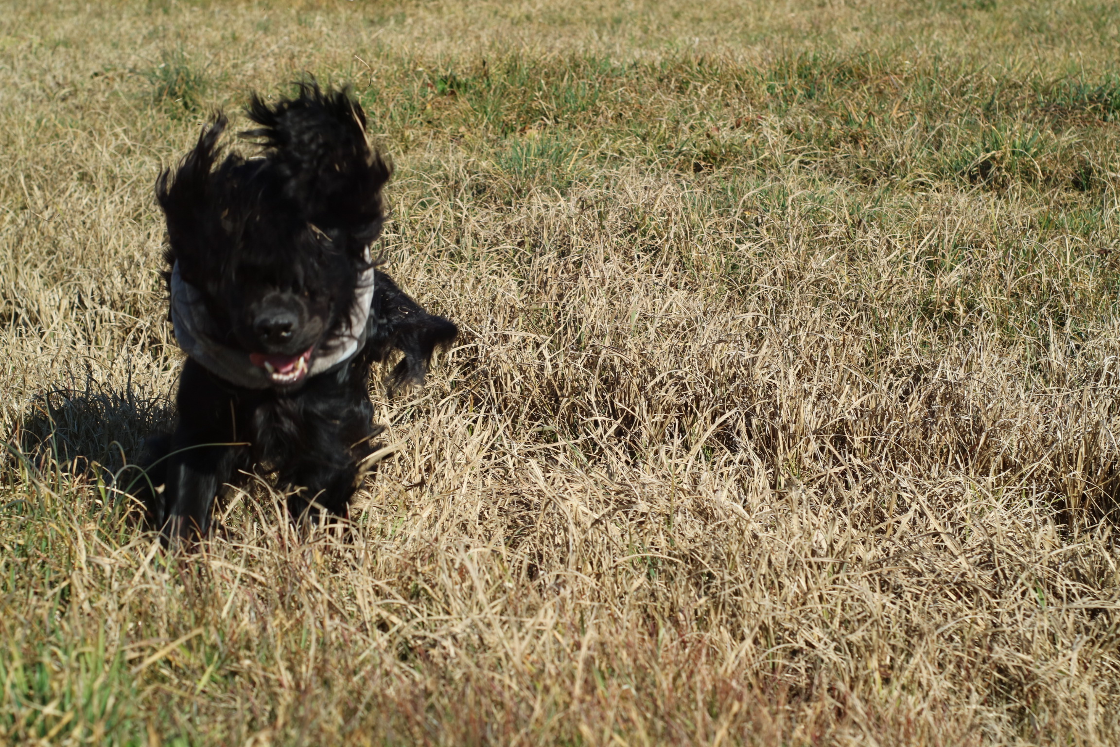 Ci scrolliamo un pó