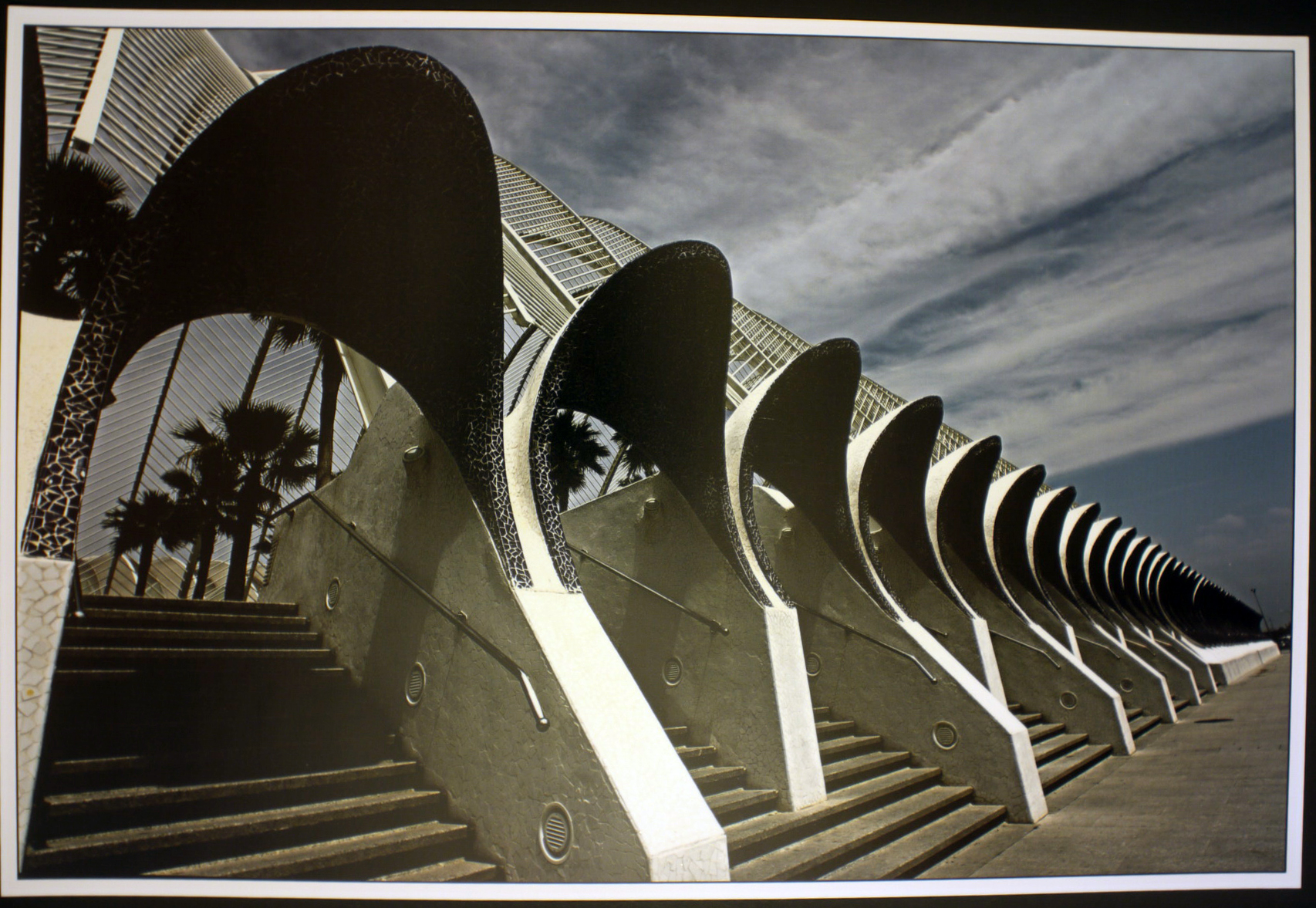 Valencia. Calatrava.