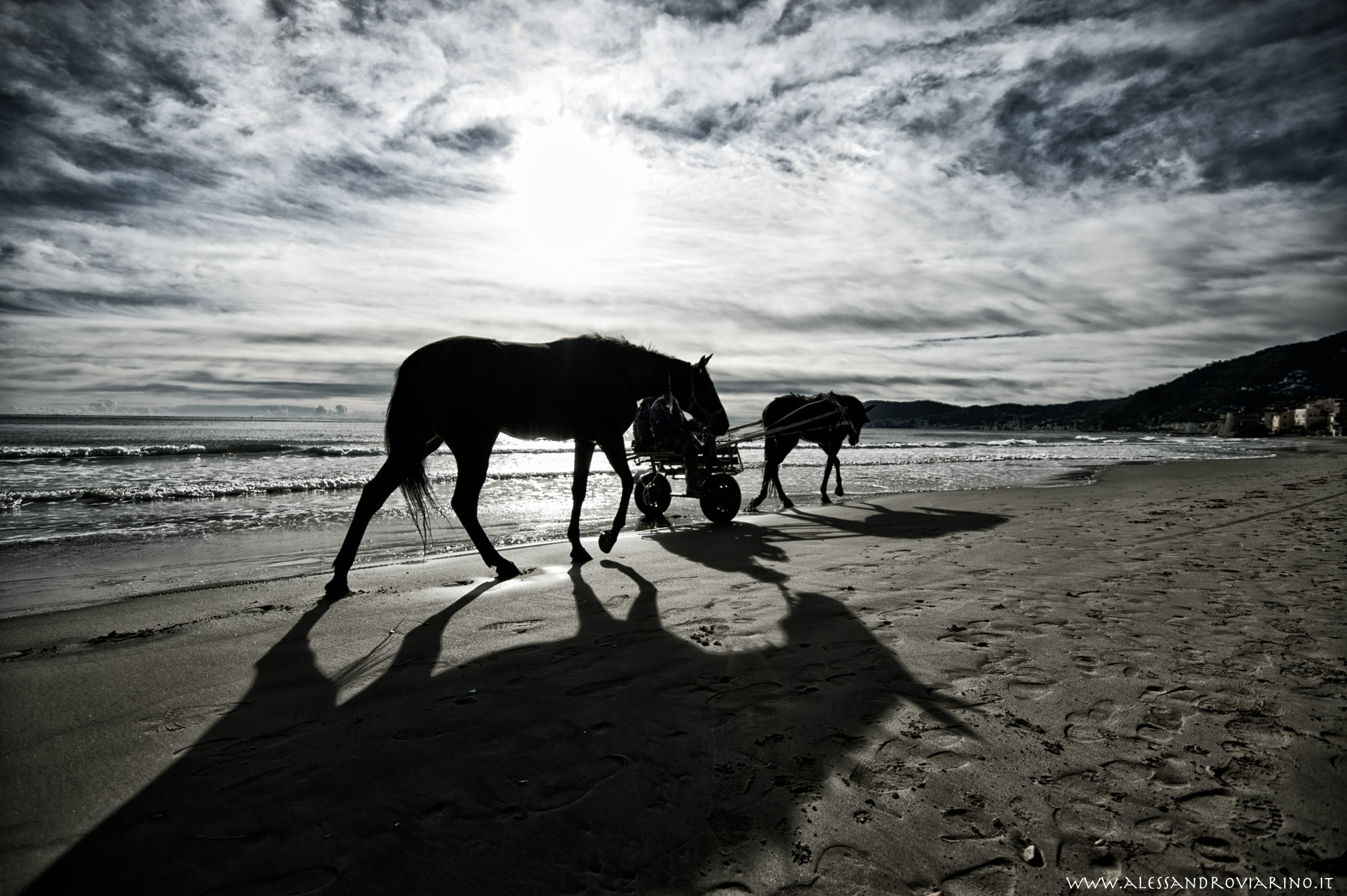 calesse sulla spiaggia