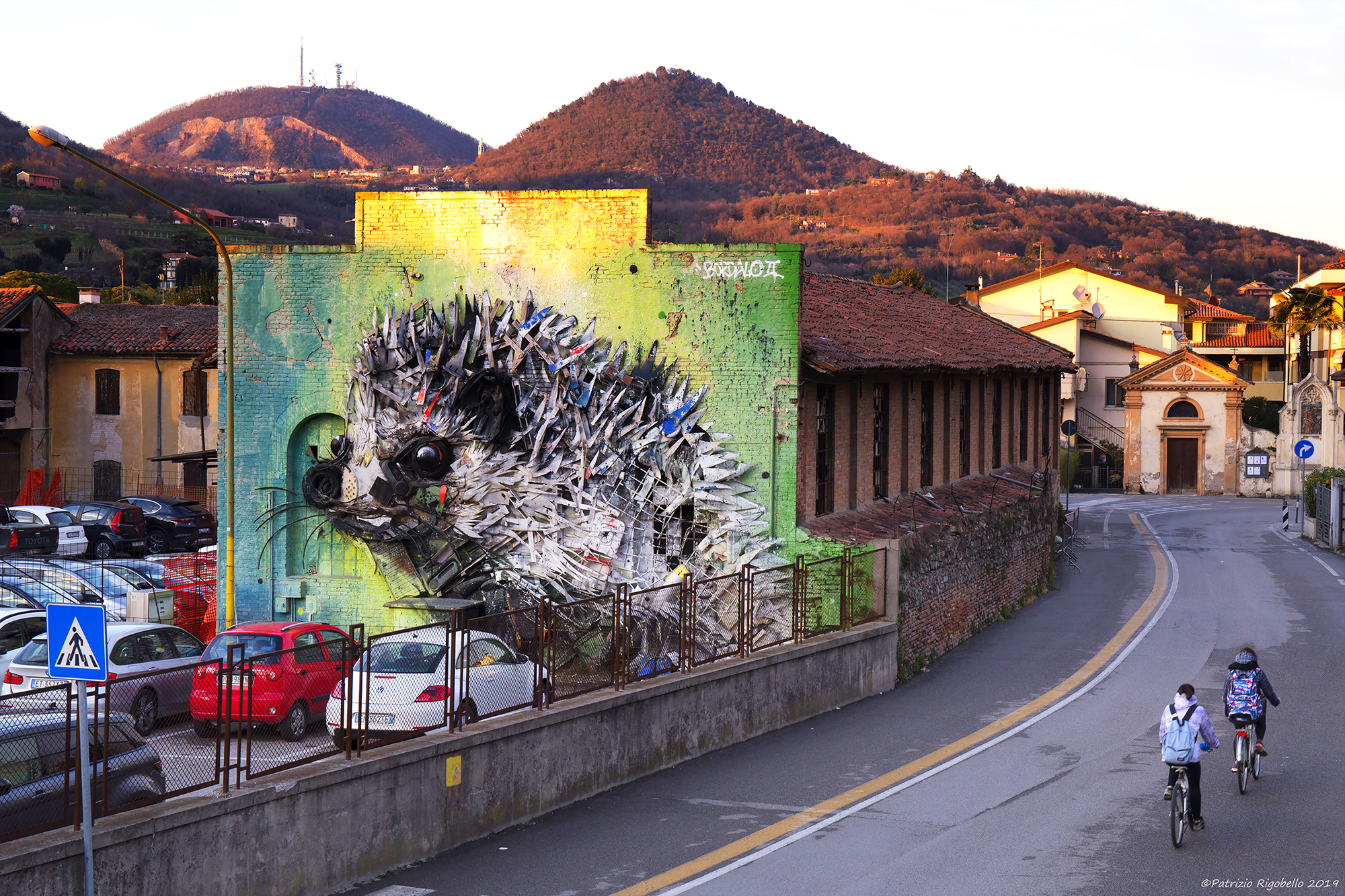 Il riccio di Bordalo II a Este