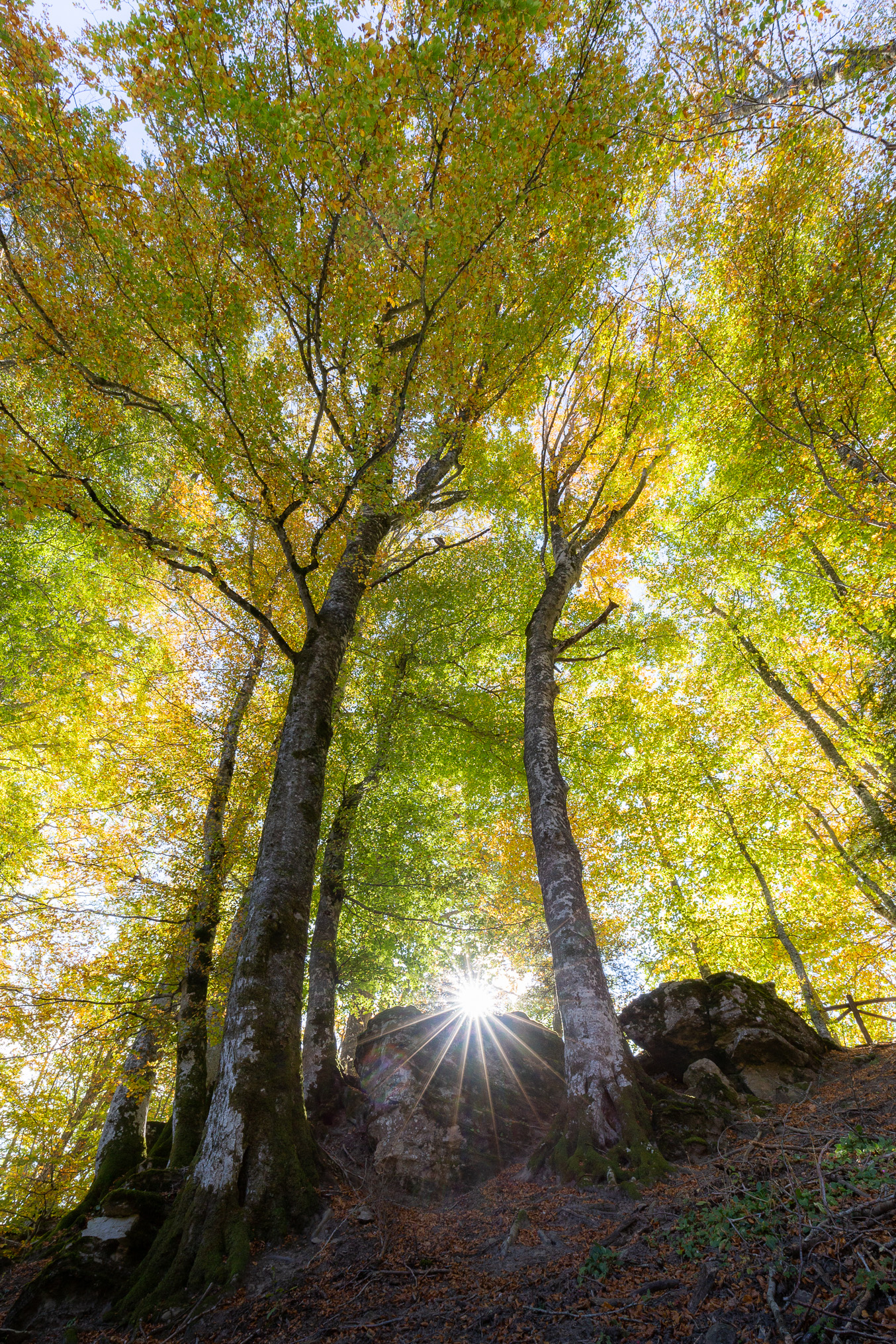 Autunno in Casentino