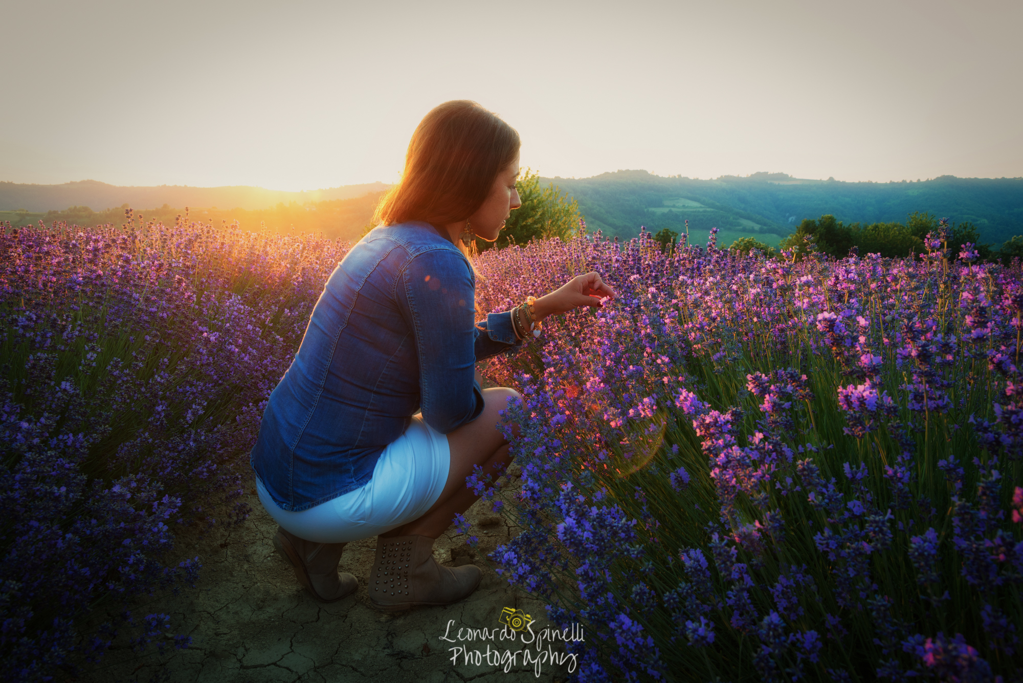 tramoto sulla lavanda