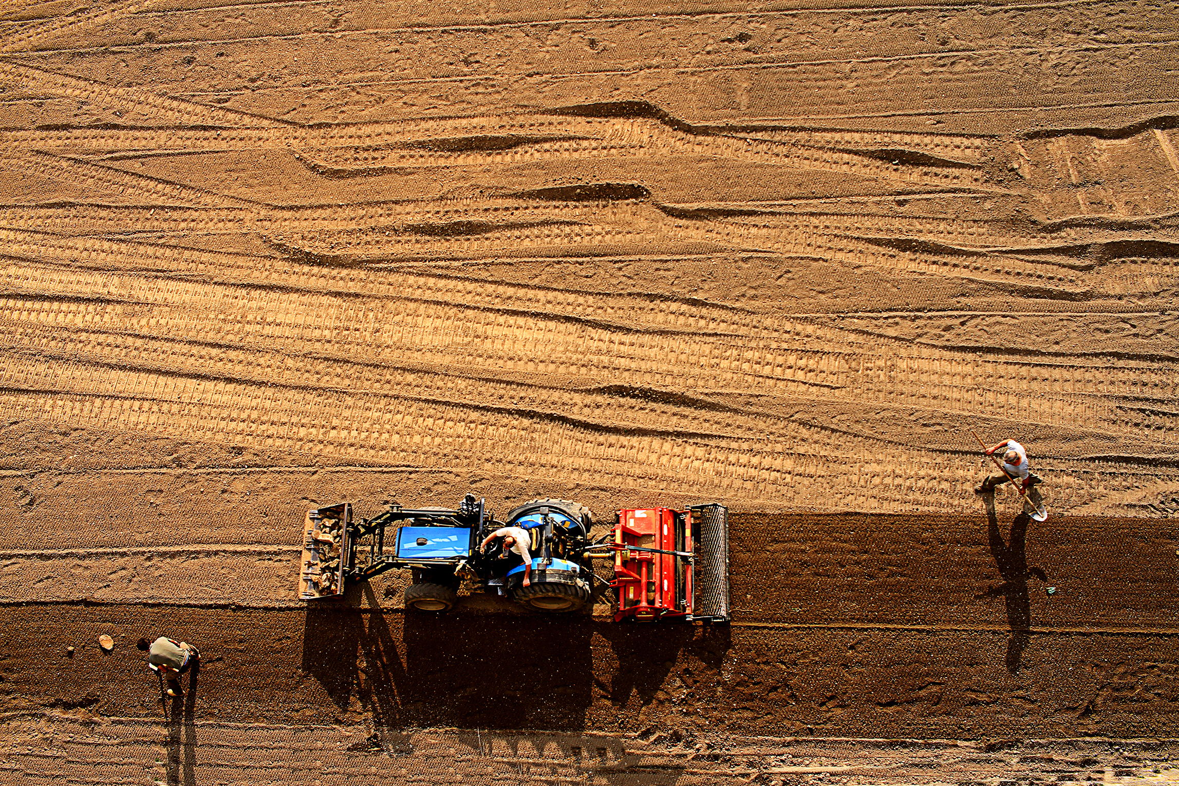 From the city walls high