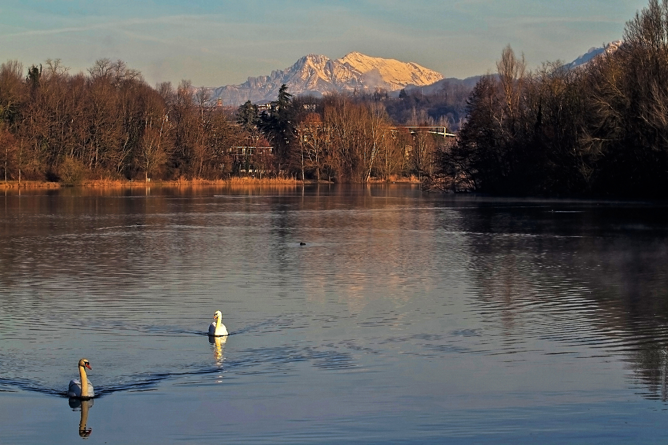 sullo sfondo le montagne