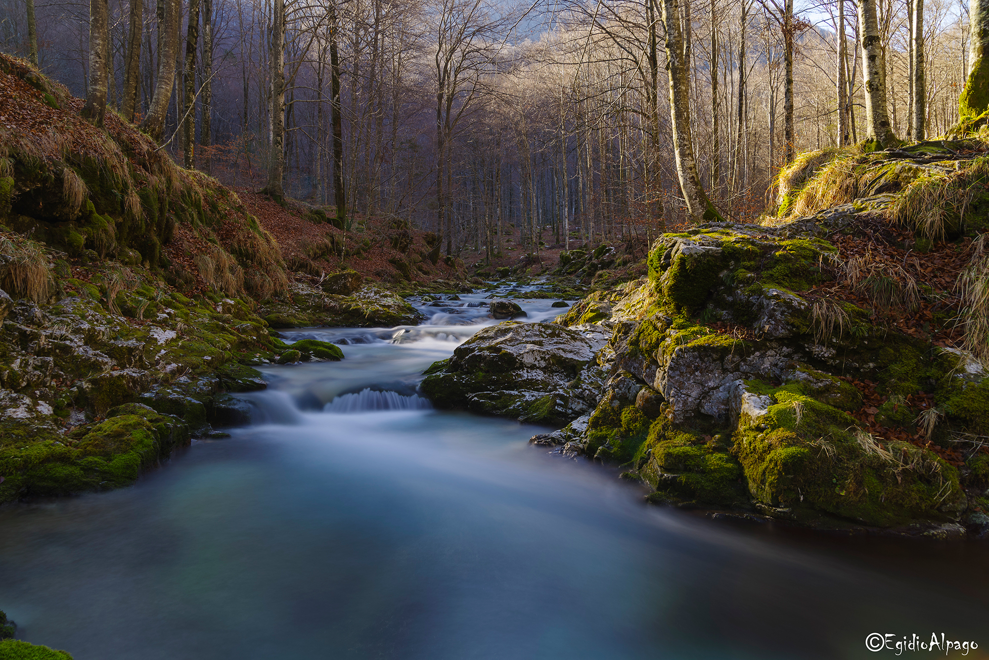 Suoni e colori della natura